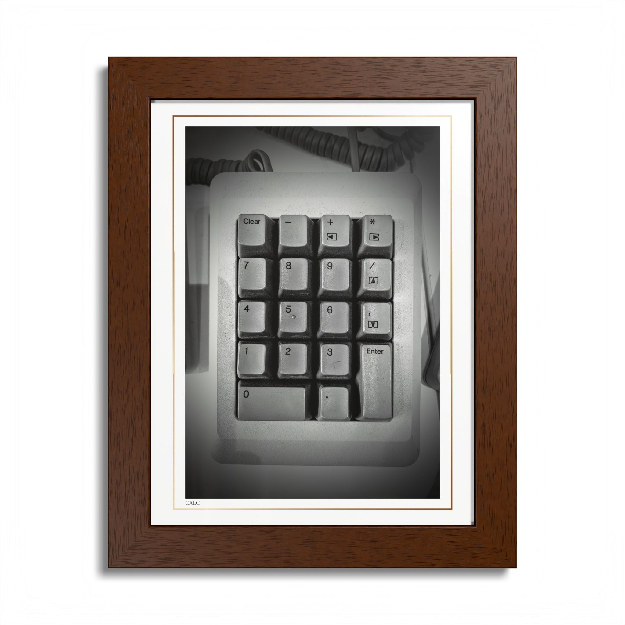 Acqua Carta Original 'Calc' Framed Art, Tropical Decor for Beach Lovers, Home Art