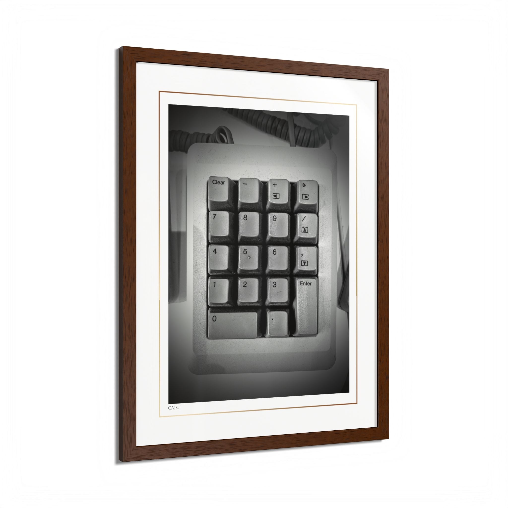 Acqua Carta Original 'Calc' Framed Art, Tropical Decor for Beach Lovers, Home Art