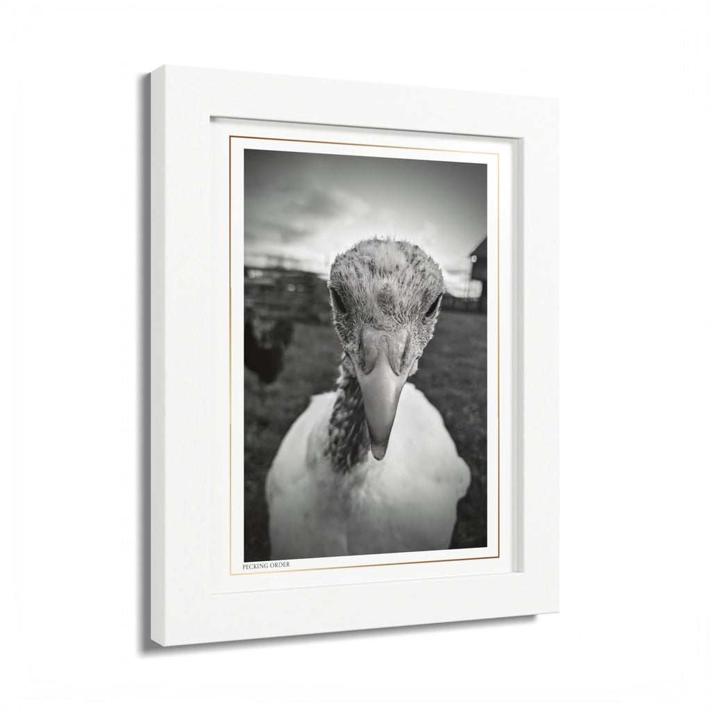 Acqua Carta Original 'Pecking Order' Framed Art, Farm Decor for Animal Lovers, Home Art