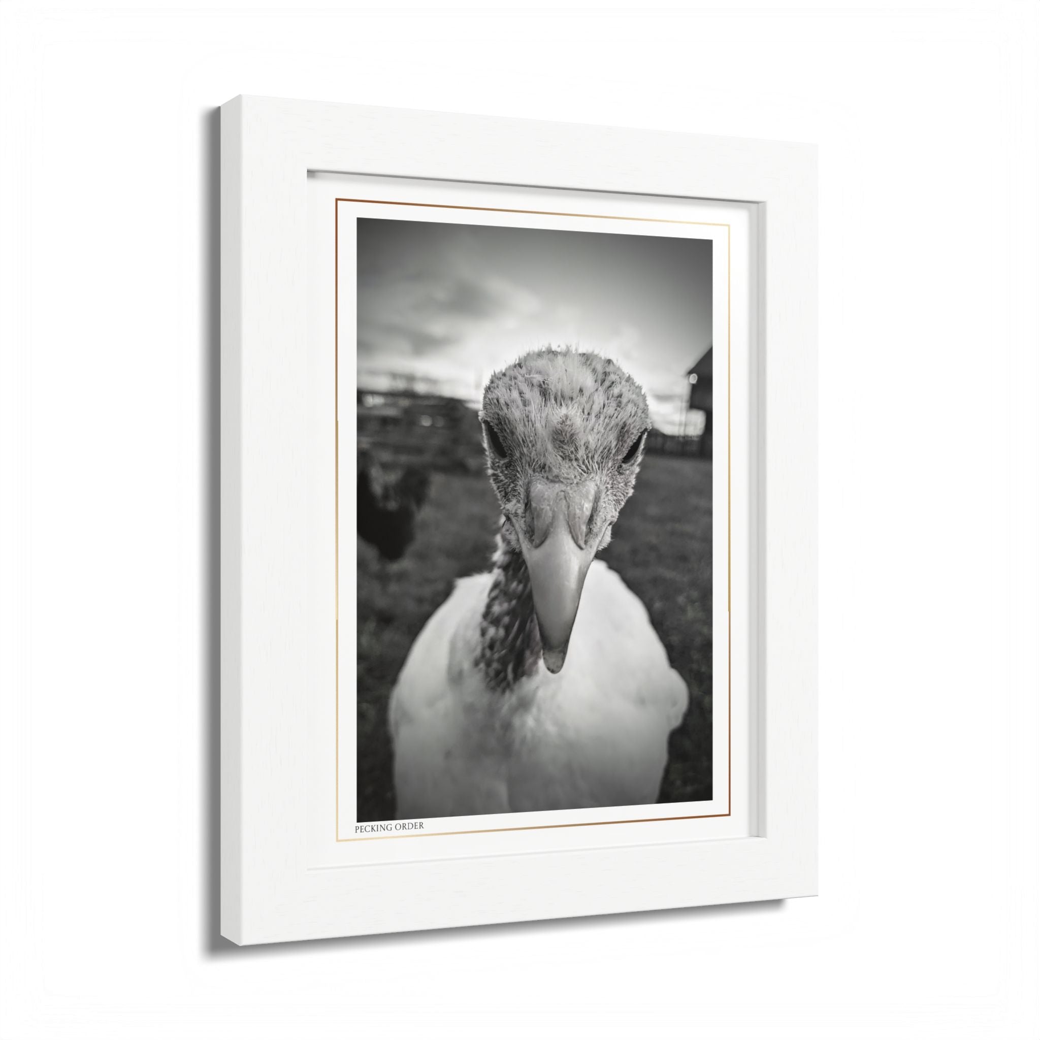 Acqua Carta Original 'Pecking Order' Framed Art, Farm Decor for Animal Lovers, Home Art