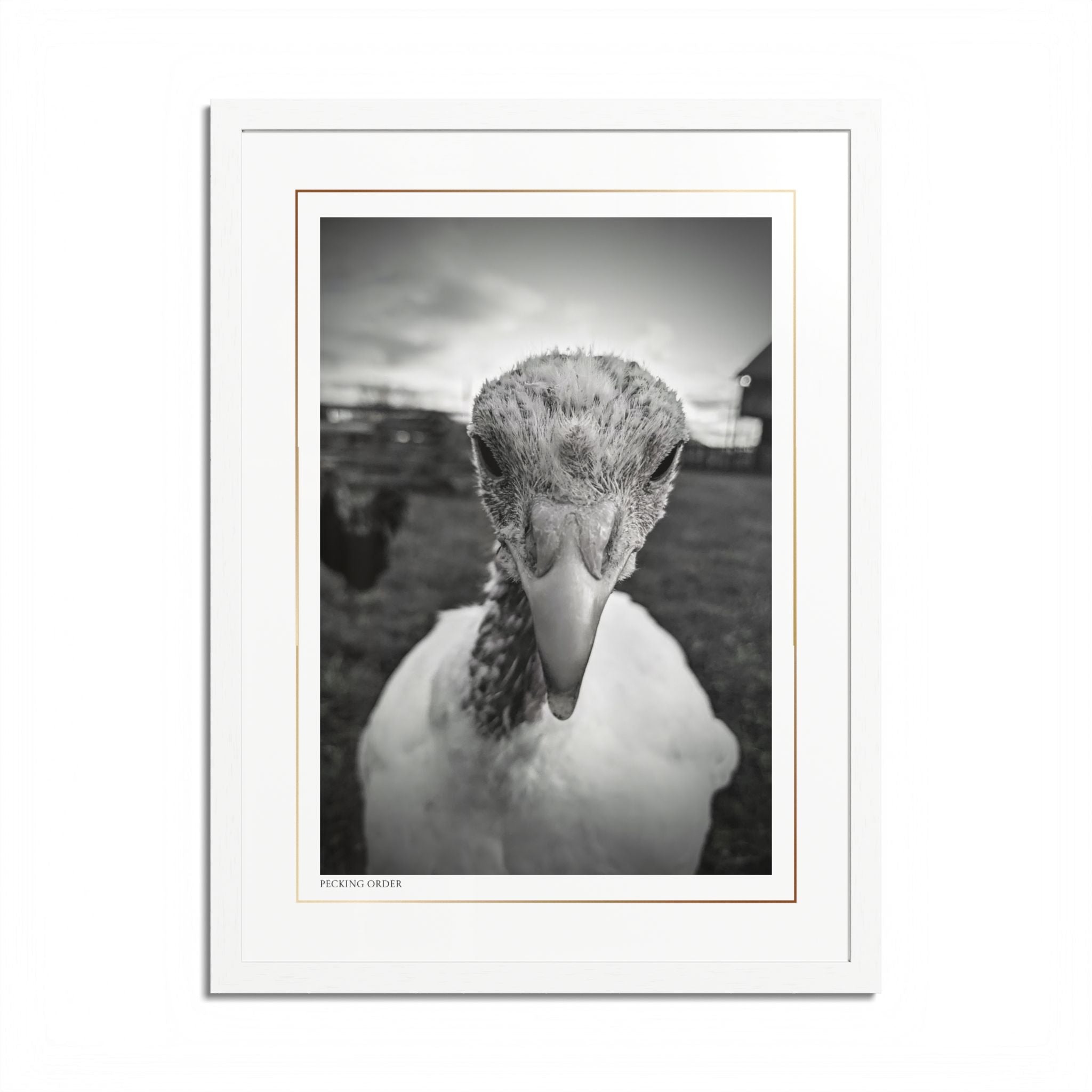 Acqua Carta Original 'Pecking Order' Framed Art, Farm Decor for Animal Lovers, Home Art