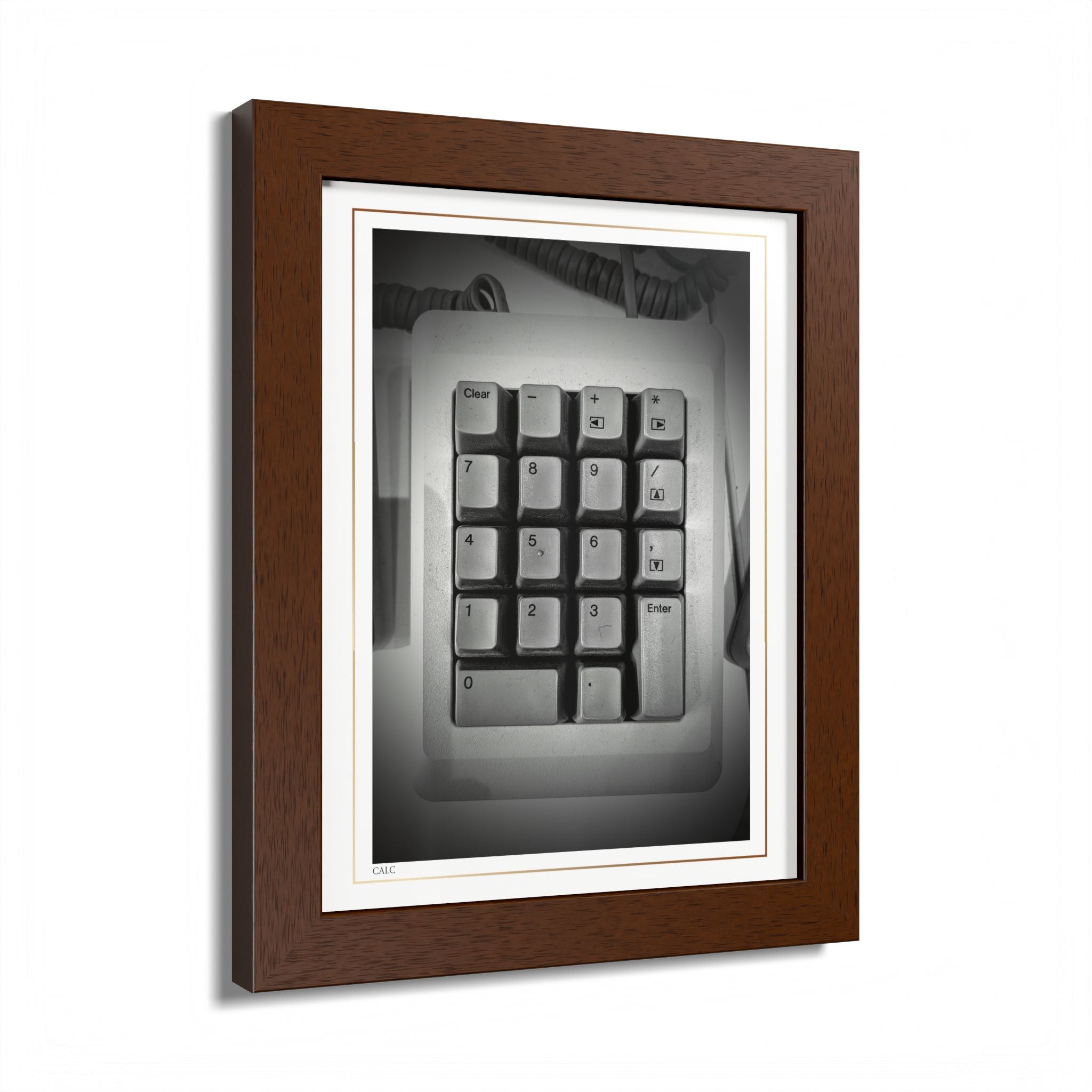 Acqua Carta Original 'Calc' Framed Art, Tropical Decor for Beach Lovers, Home Art
