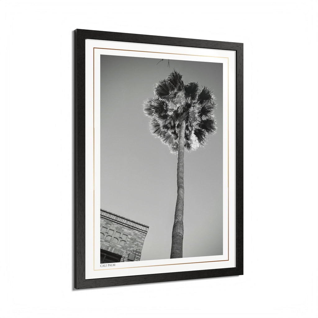 Acqua Carta Original 'Cali Palm' Framed Art, Tropical Decor for Beach Lovers, Home Art
