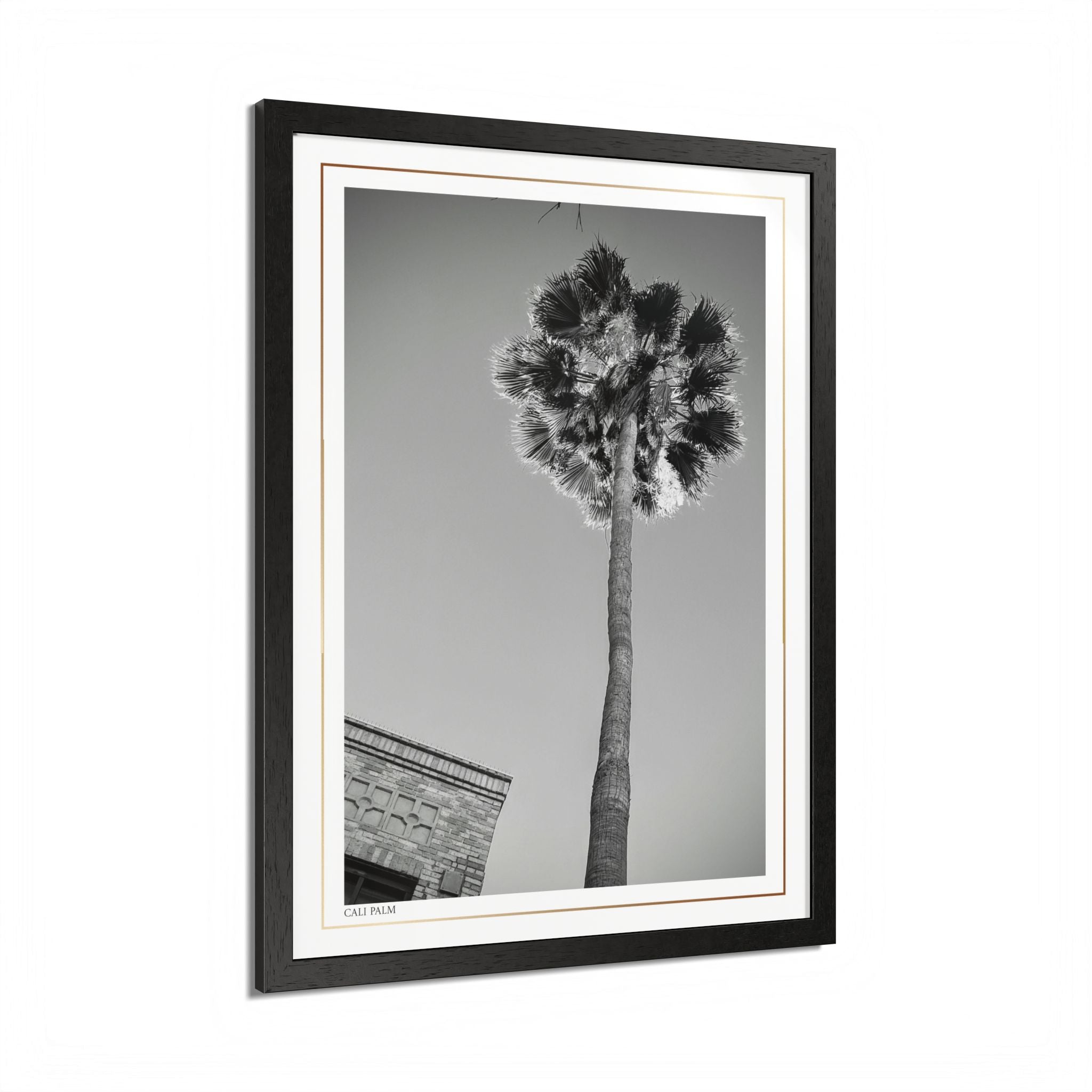 Acqua Carta Original 'Cali Palm' Framed Art, Tropical Decor for Beach Lovers, Home Art