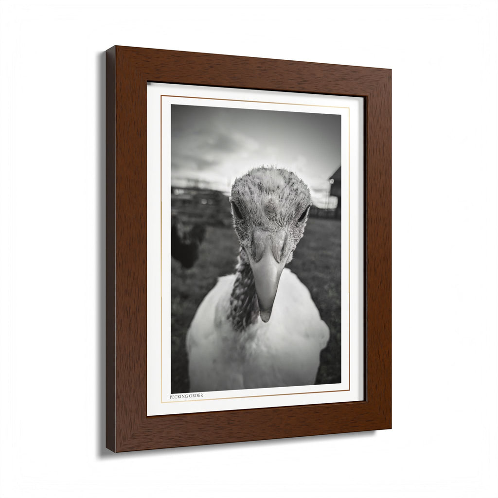Acqua Carta Original 'Pecking Order' Framed Art, Farm Decor for Animal Lovers, Home Art