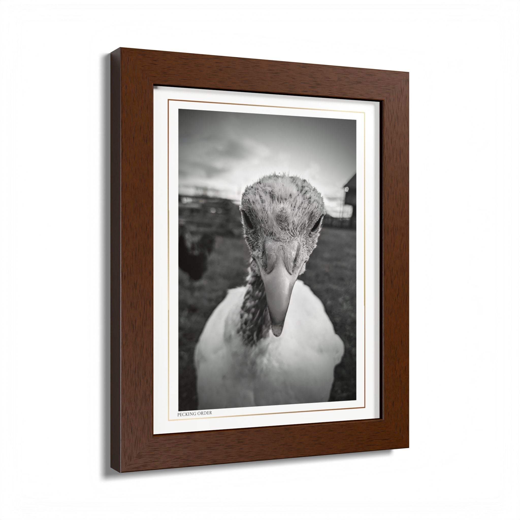 Acqua Carta Original 'Pecking Order' Framed Art, Farm Decor for Animal Lovers, Home Art