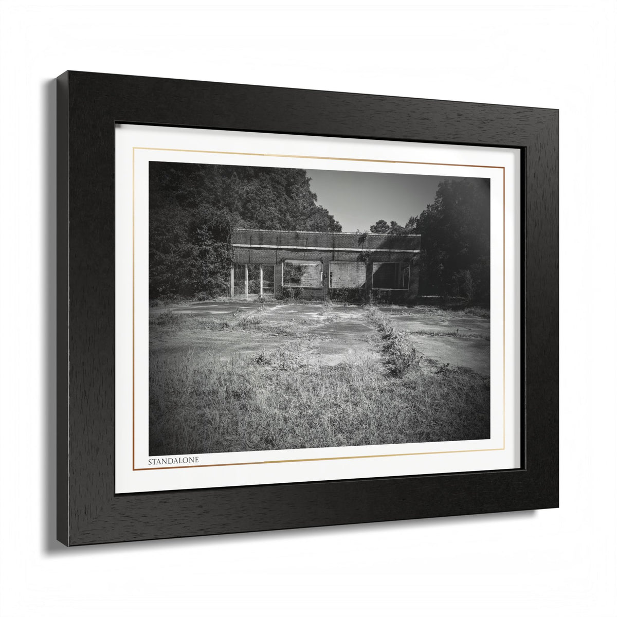 Acqua Carta Original 'Standalone' Framed Art, 'Bando' Art, Home Art