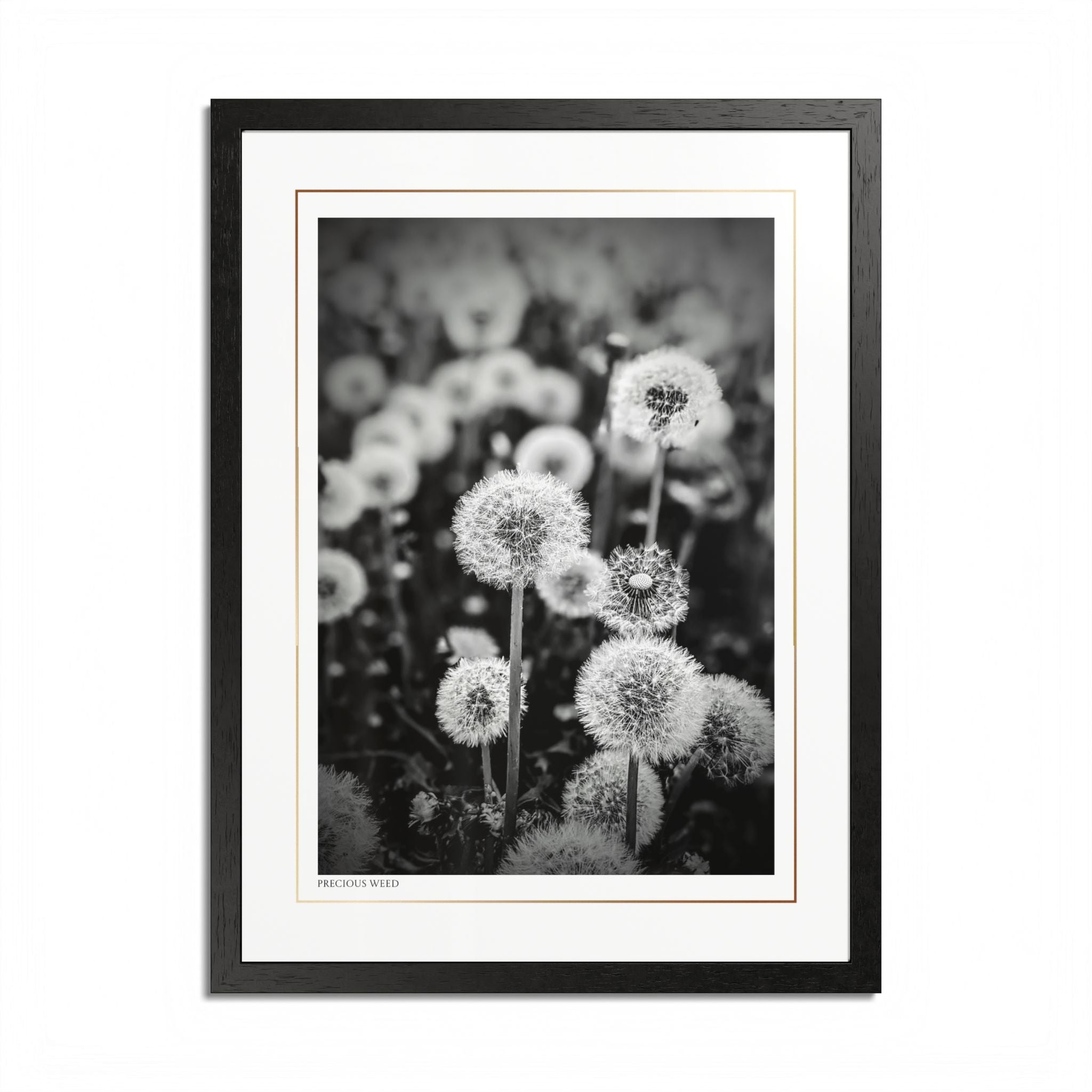 Acqua Carta Original 'Precious Weed' Framed Art, Flower Decor for Nature Lovers, Home Art