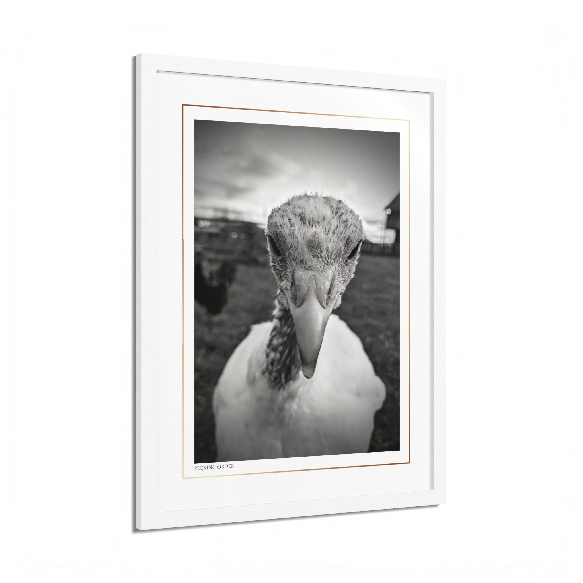 Acqua Carta Original 'Pecking Order' Framed Art, Farm Decor for Animal Lovers, Home Art
