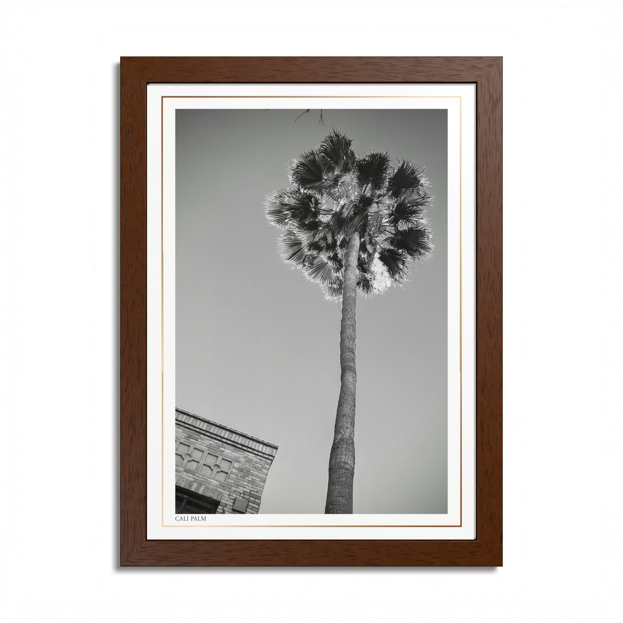 Acqua Carta Original 'Cali Palm' Framed Art, Tropical Decor for Beach Lovers, Home Art