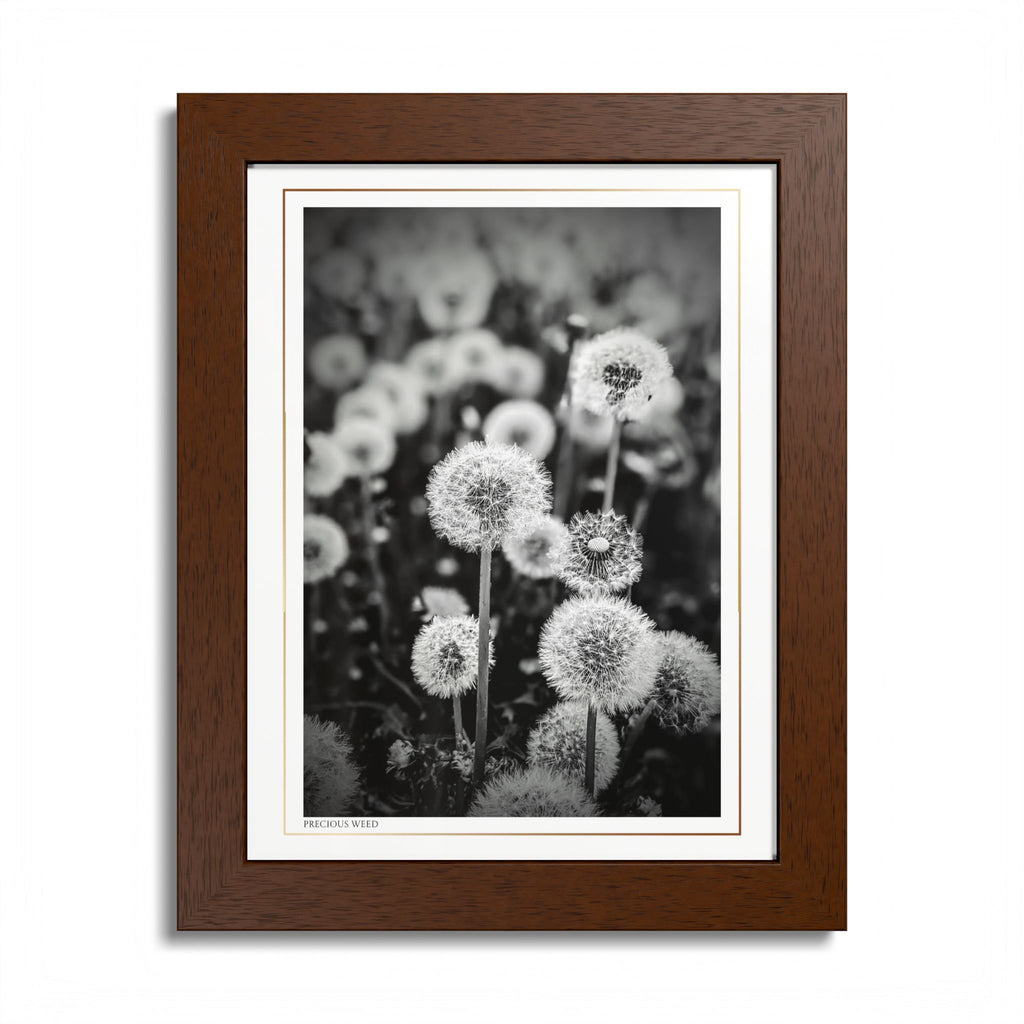 Acqua Carta Original 'Precious Weed' Framed Art, Flower Decor for Nature Lovers, Home Art