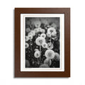 Acqua Carta Original 'Precious Weed' Framed Art, Flower Decor for Nature Lovers, Home Art