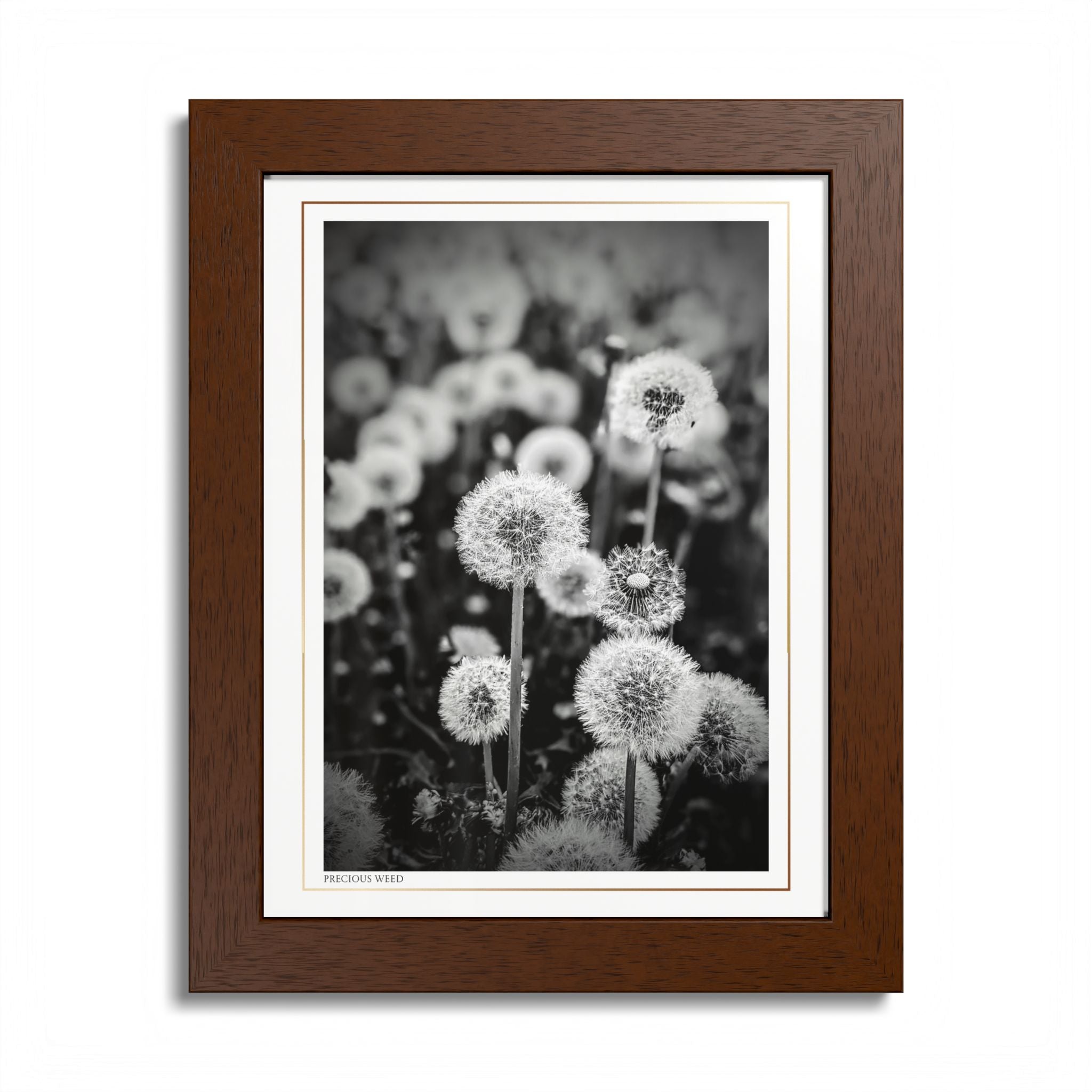 Acqua Carta Original 'Precious Weed' Framed Art, Flower Decor for Nature Lovers, Home Art