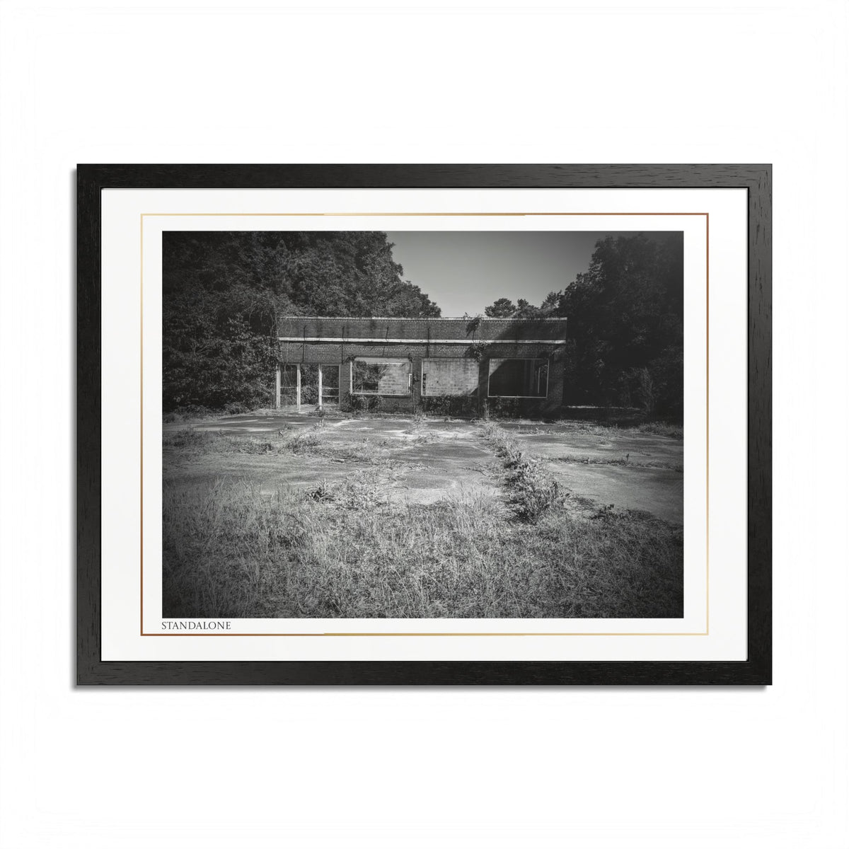 Acqua Carta Original 'Standalone' Framed Art, 'Bando' Art, Home Art