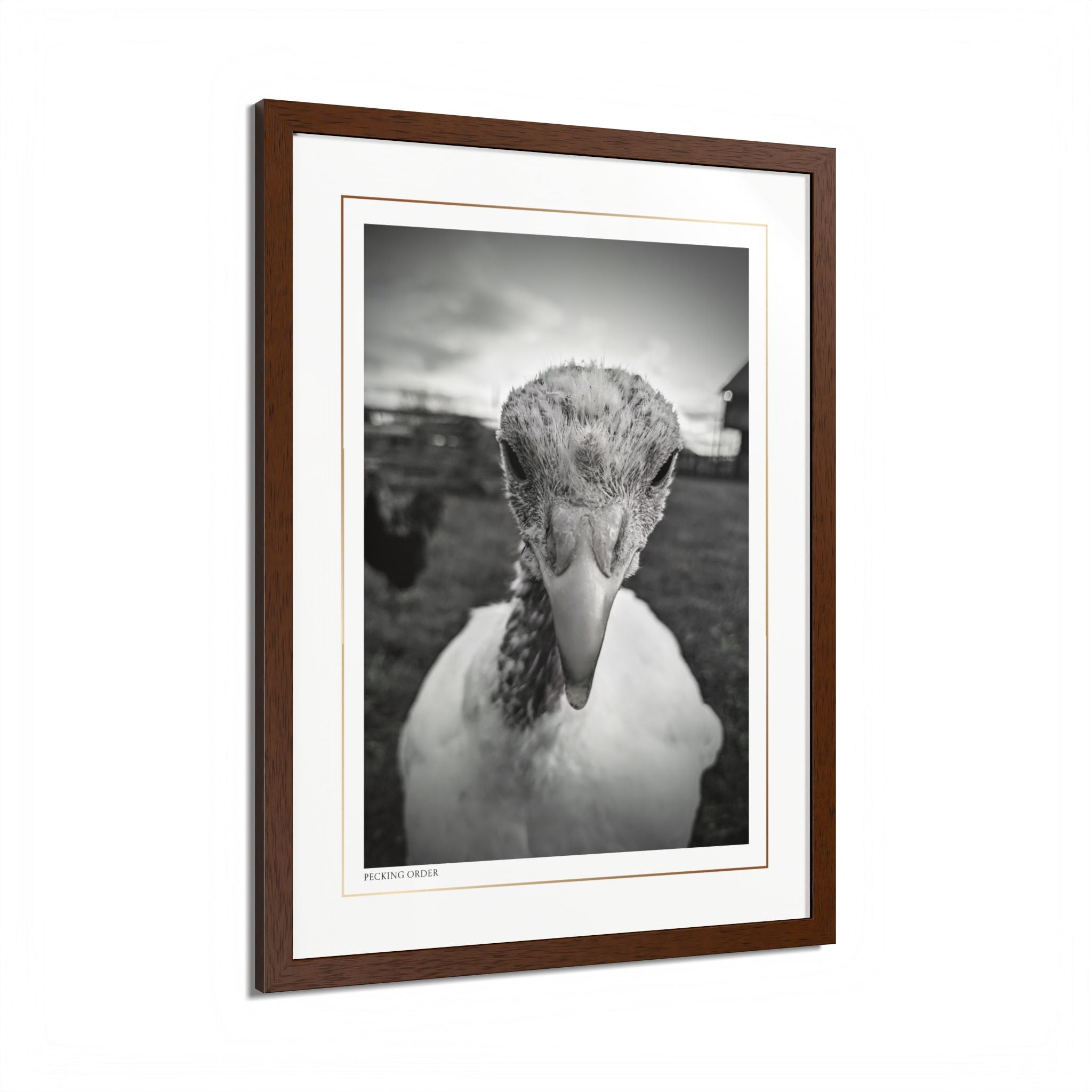 Acqua Carta Original 'Pecking Order' Framed Art, Farm Decor for Animal Lovers, Home Art