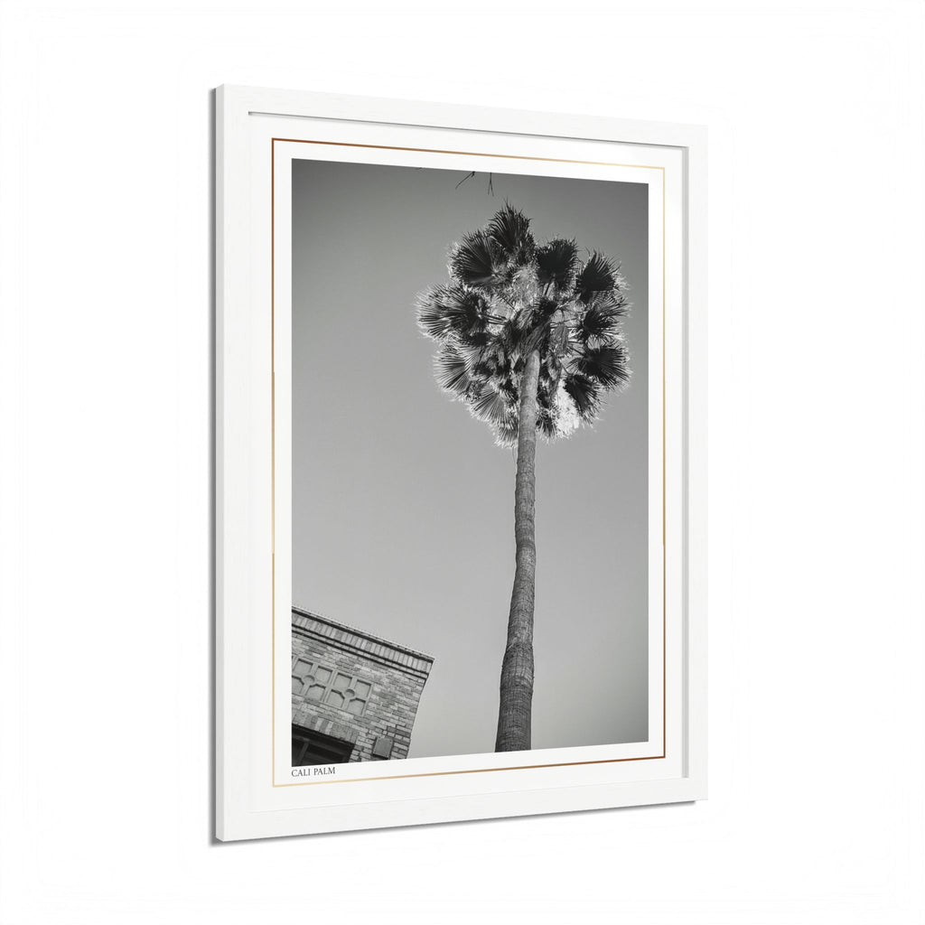 Acqua Carta Original 'Cali Palm' Framed Art, Tropical Decor for Beach Lovers, Home Art