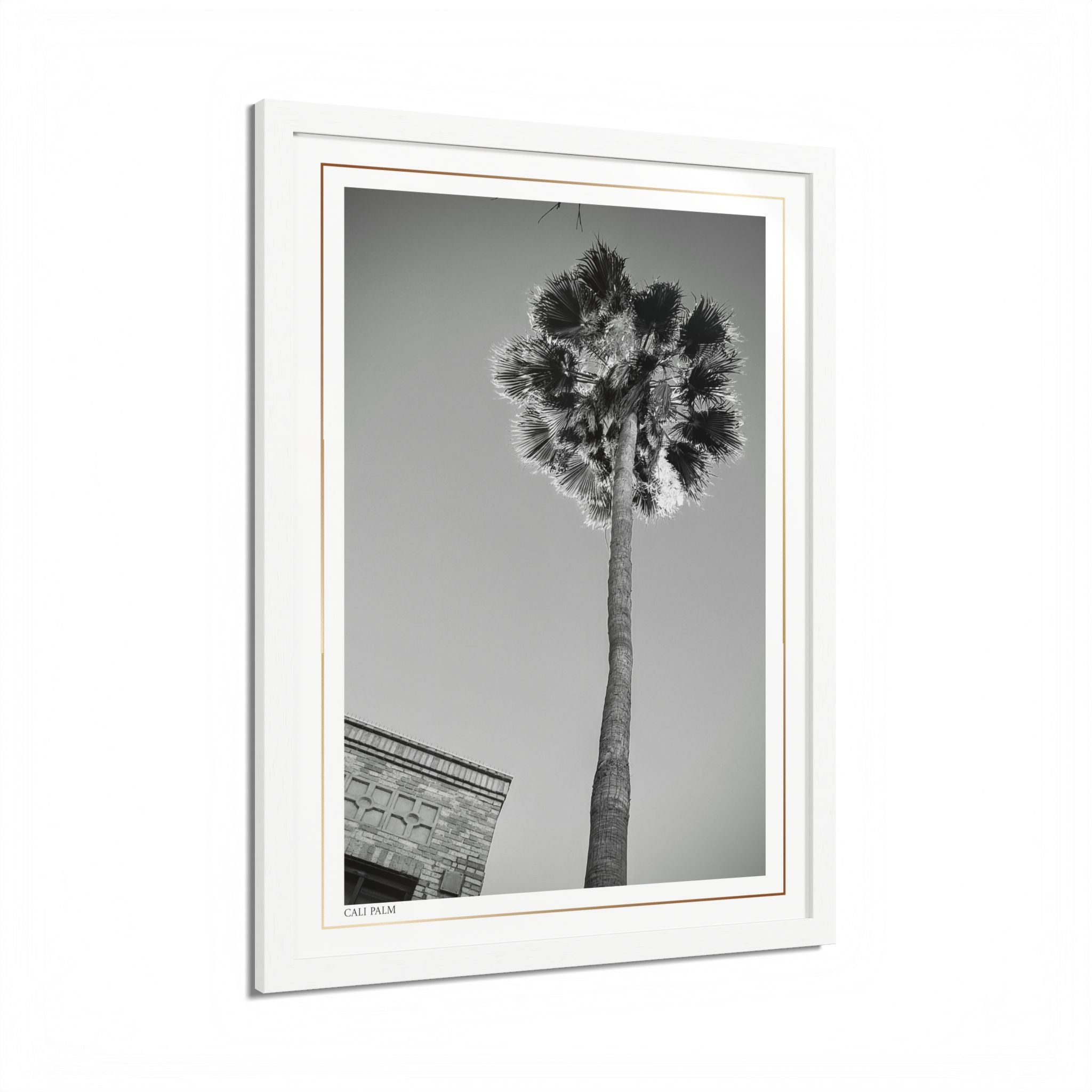Acqua Carta Original 'Cali Palm' Framed Art, Tropical Decor for Beach Lovers, Home Art