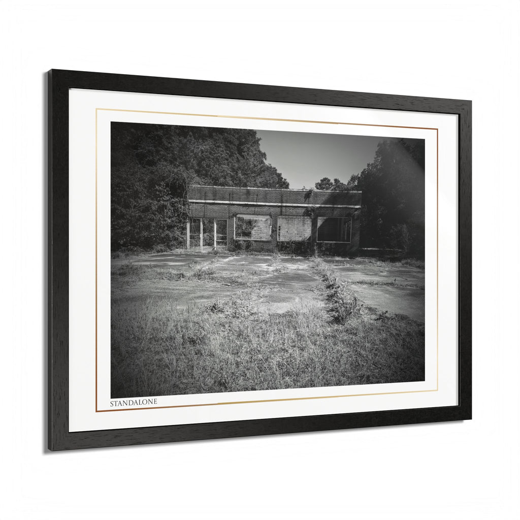 Acqua Carta Original 'Standalone' Framed Art, 'Bando' Art, Home Art