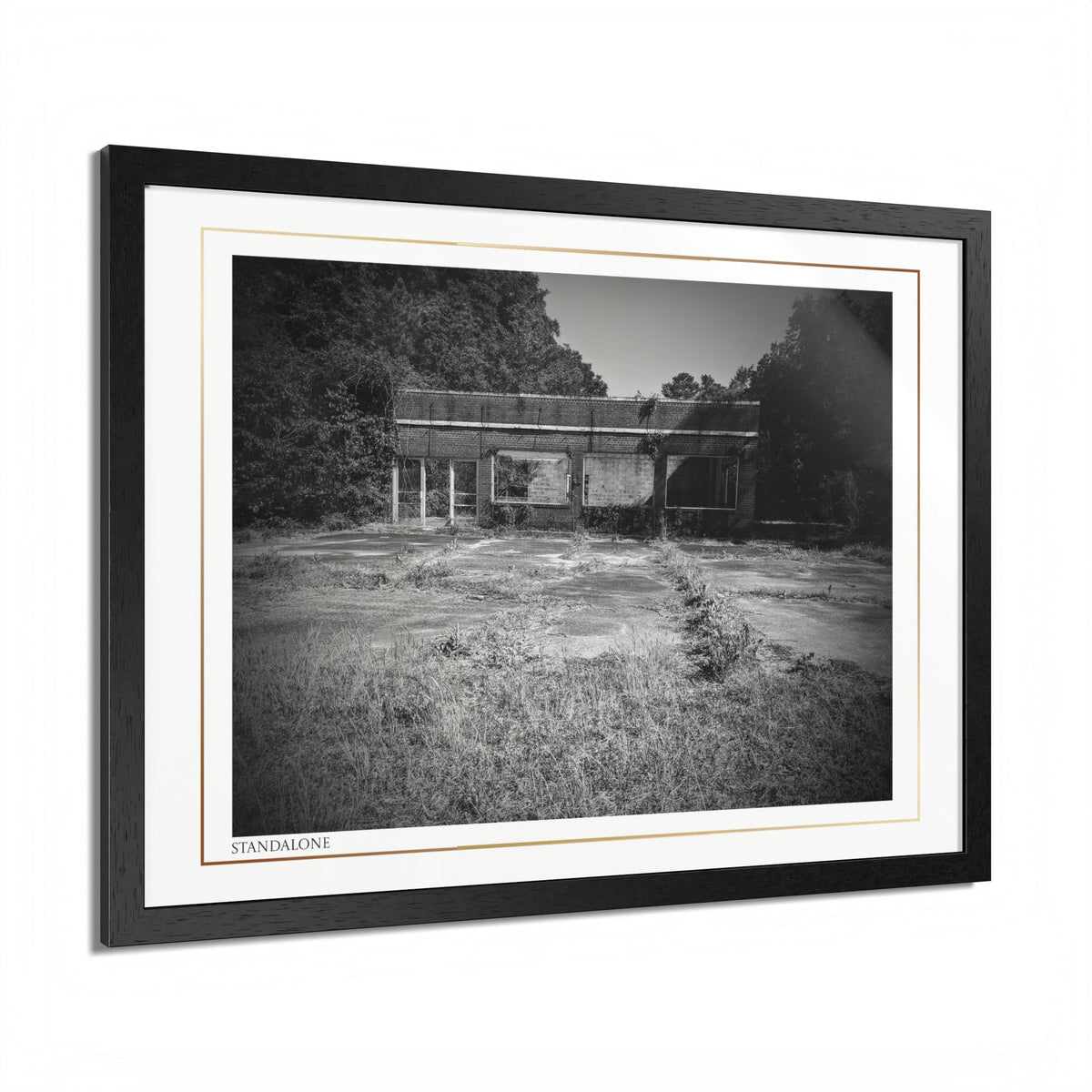 Acqua Carta Original 'Standalone' Framed Art, 'Bando' Art, Home Art