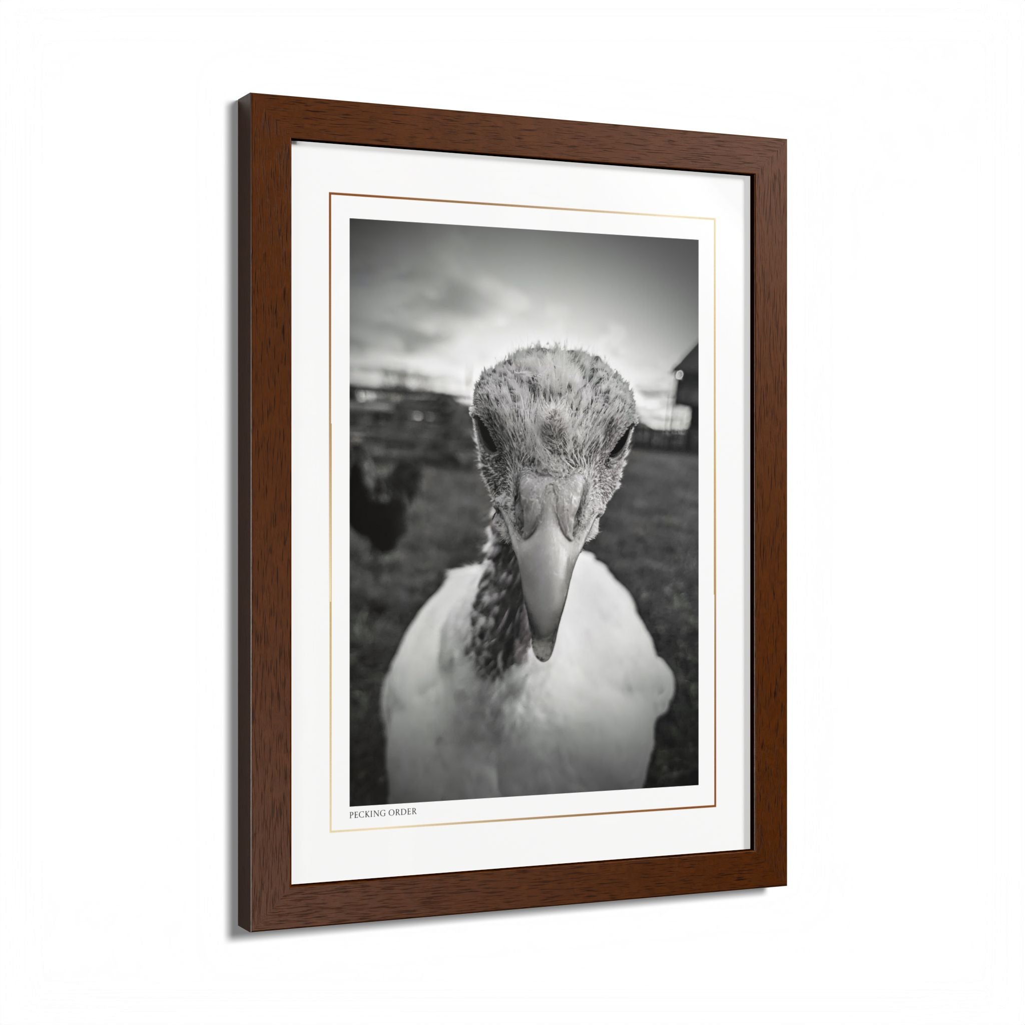 Acqua Carta Original 'Pecking Order' Framed Art, Farm Decor for Animal Lovers, Home Art