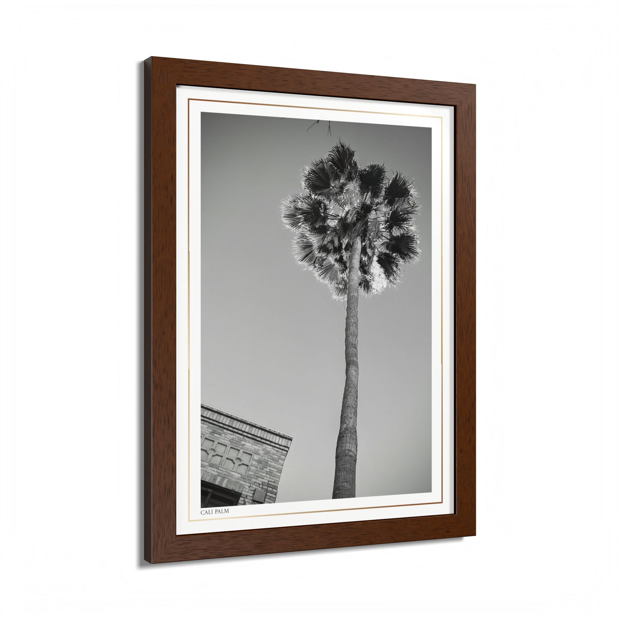 Acqua Carta Original 'Cali Palm' Framed Art, Tropical Decor for Beach Lovers, Home Art
