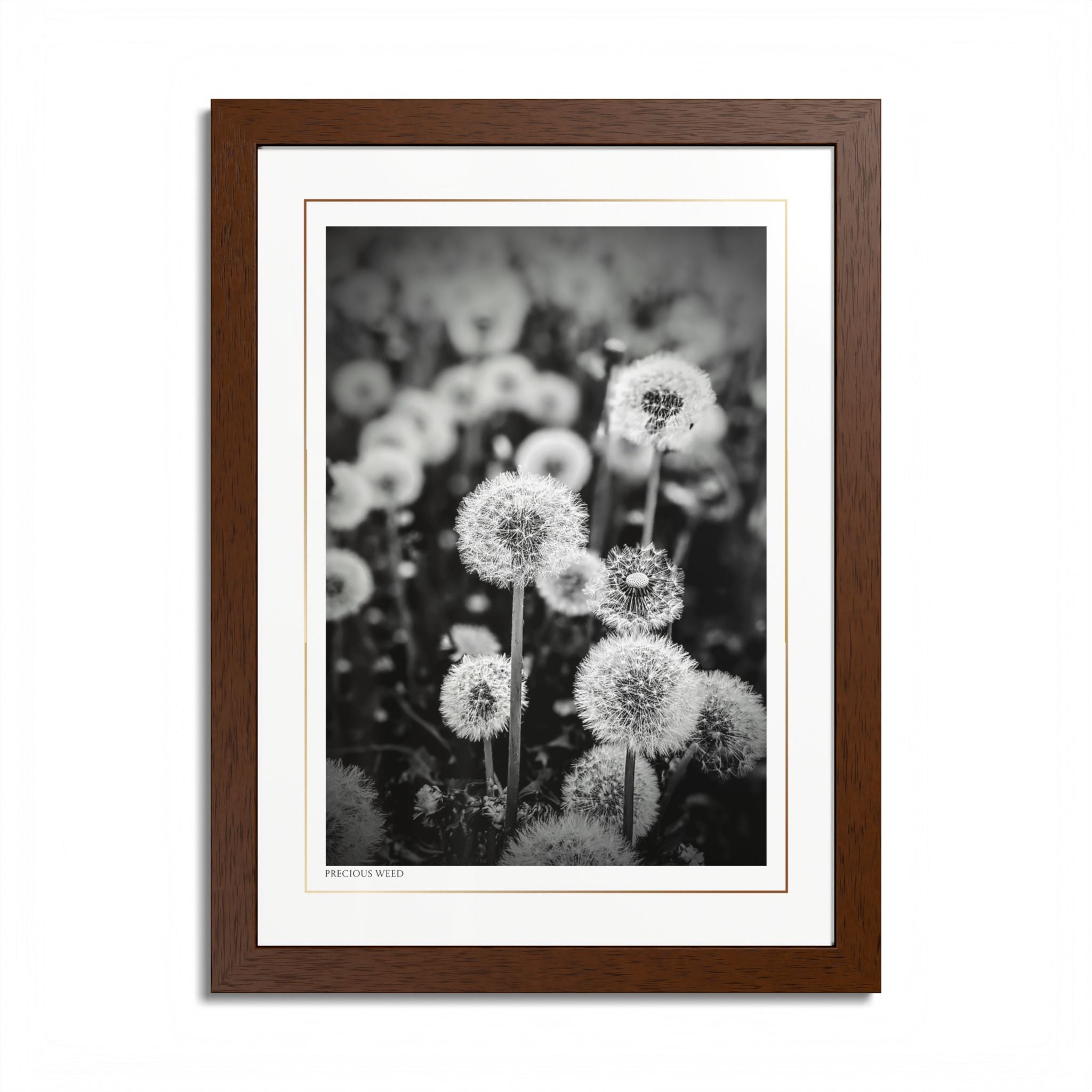 Acqua Carta Original 'Precious Weed' Framed Art, Flower Decor for Nature Lovers, Home Art