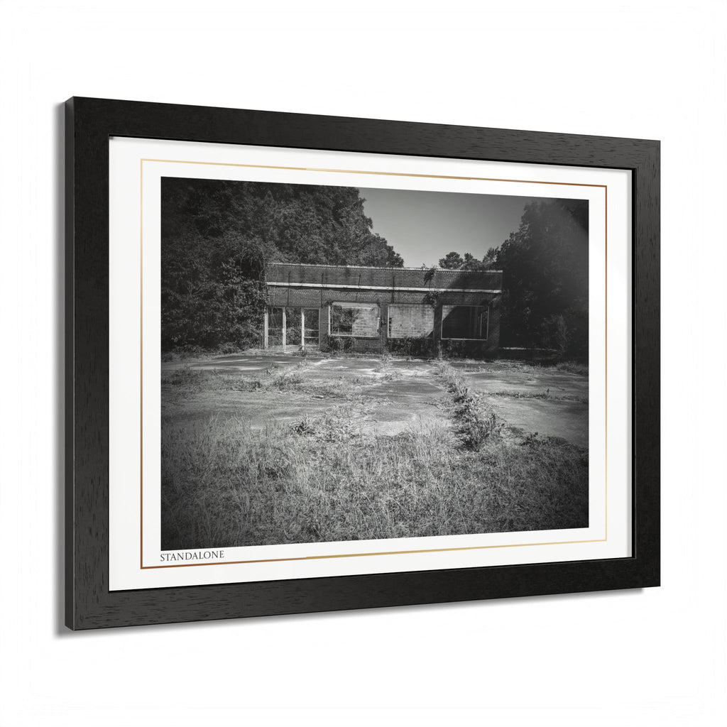 Acqua Carta Original 'Standalone' Framed Art, 'Bando' Art, Home Art
