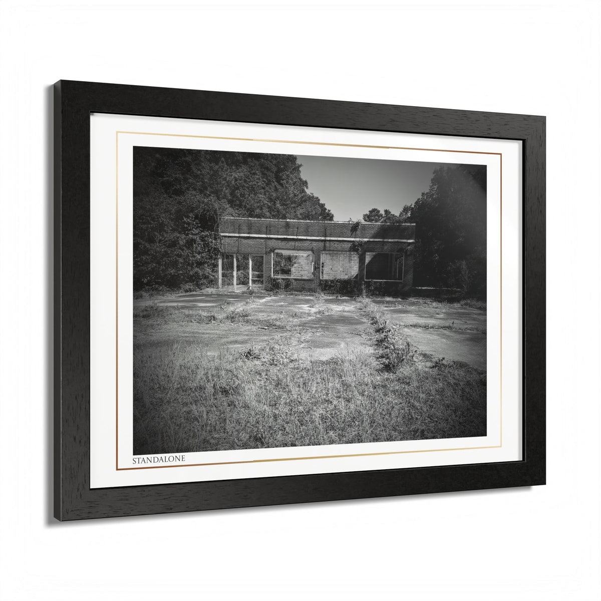 Acqua Carta Original 'Standalone' Framed Art, 'Bando' Art, Home Art
