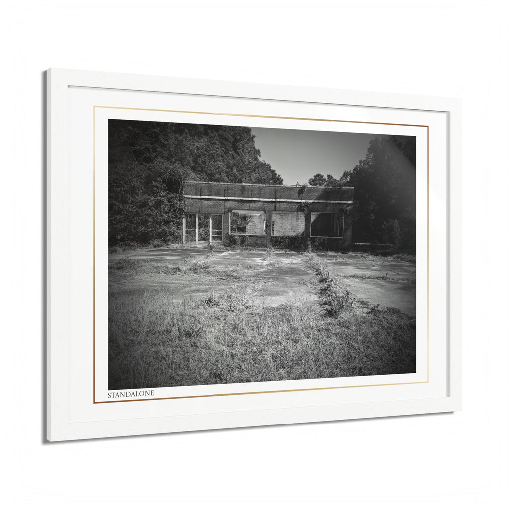 Acqua Carta Original 'Standalone' Framed Art, 'Bando' Art, Home Art