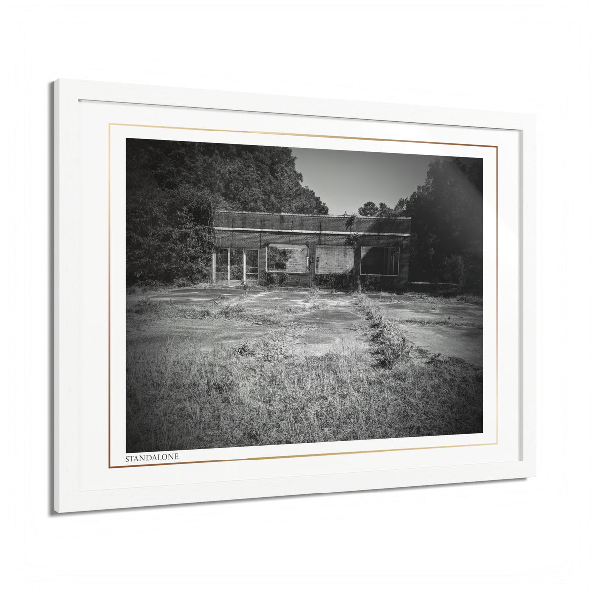 Acqua Carta Original 'Standalone' Framed Art, 'Bando' Art, Home Art
