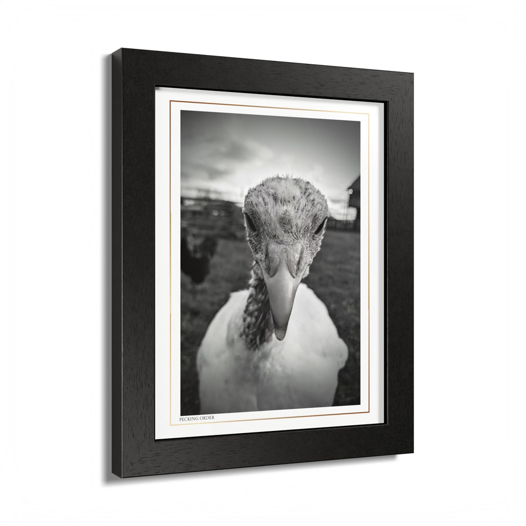 Acqua Carta Original 'Pecking Order' Framed Art, Farm Decor for Animal Lovers, Home Art