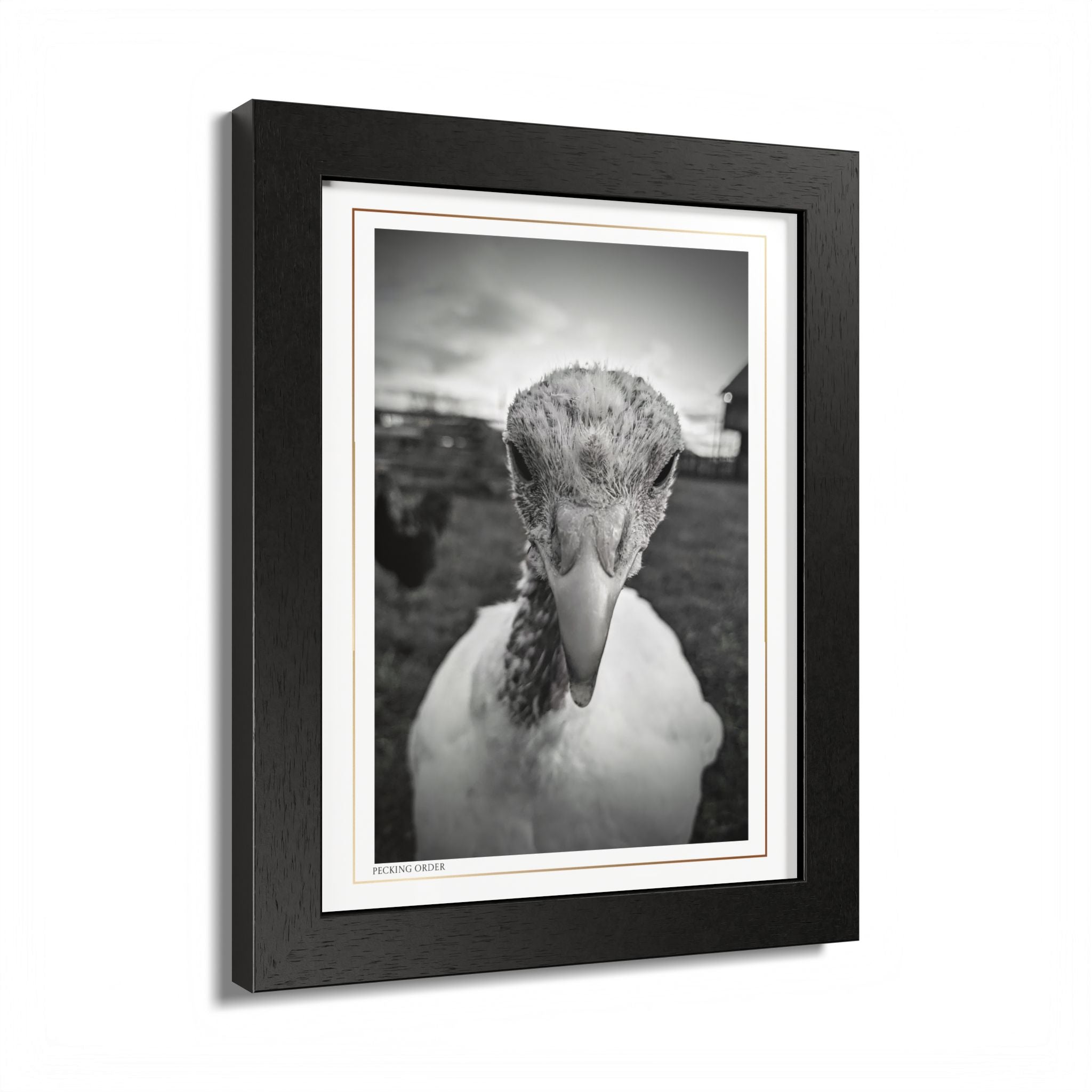 Acqua Carta Original 'Pecking Order' Framed Art, Farm Decor for Animal Lovers, Home Art