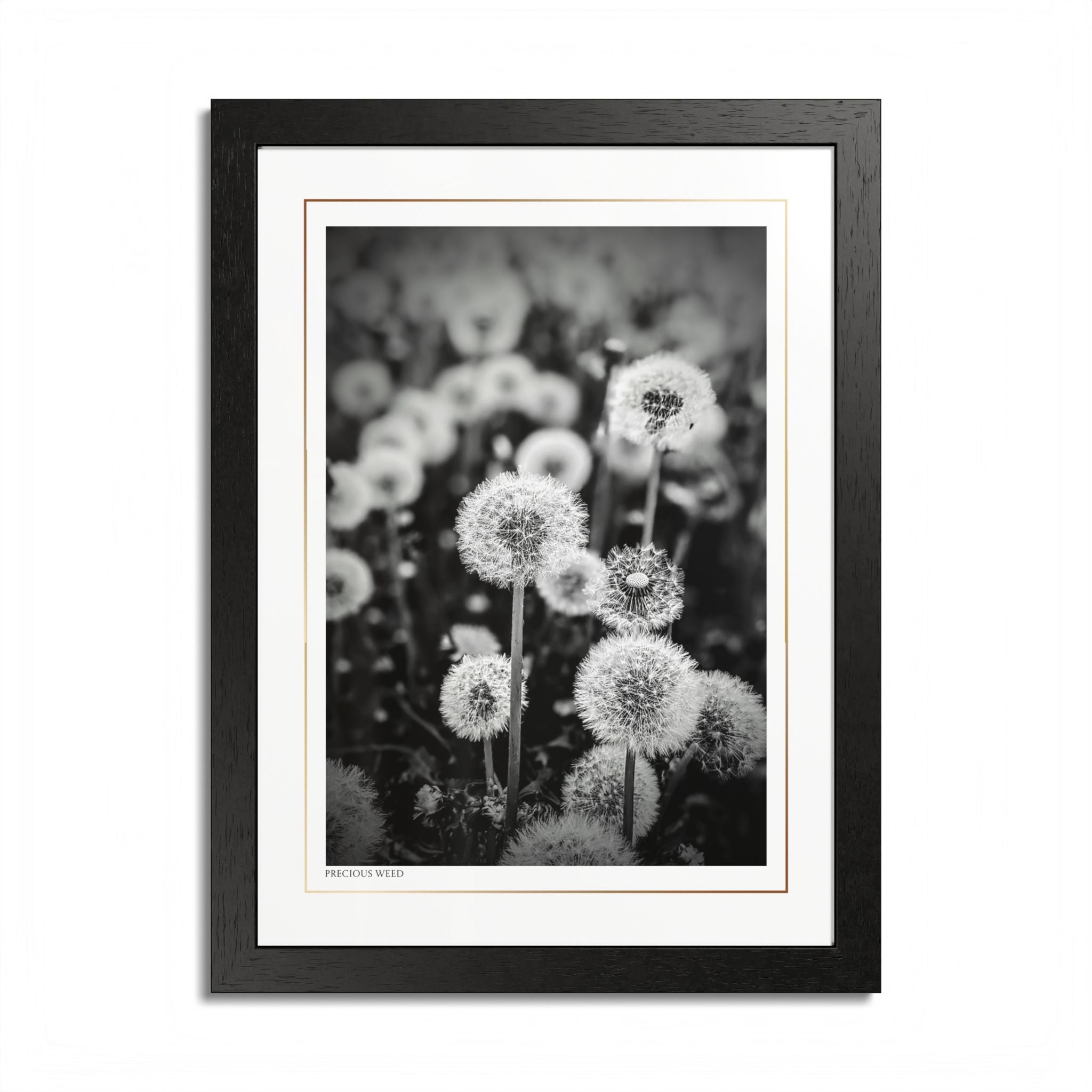 Acqua Carta Original 'Precious Weed' Framed Art, Flower Decor for Nature Lovers, Home Art