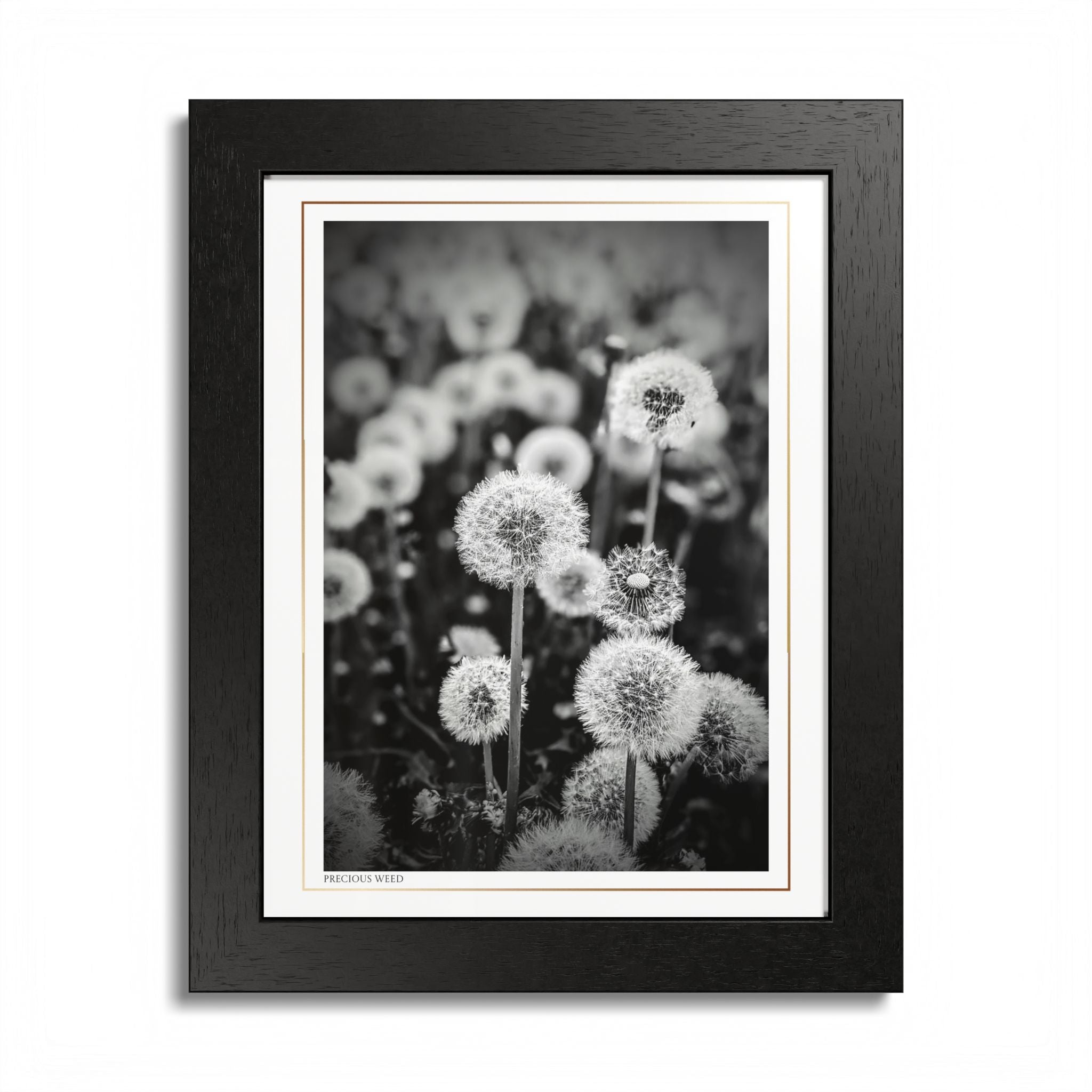 Acqua Carta Original 'Precious Weed' Framed Art, Flower Decor for Nature Lovers, Home Art
