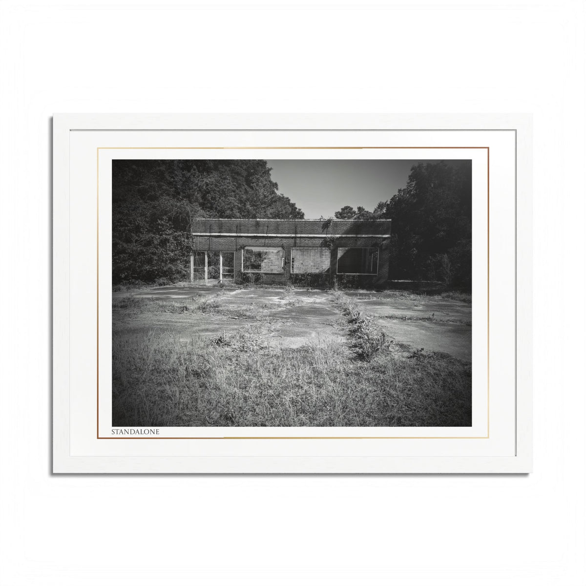 Acqua Carta Original 'Standalone' Framed Art, 'Bando' Art, Home Art