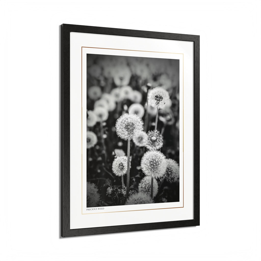 Acqua Carta Original 'Precious Weed' Framed Art, Flower Decor for Nature Lovers, Home Art