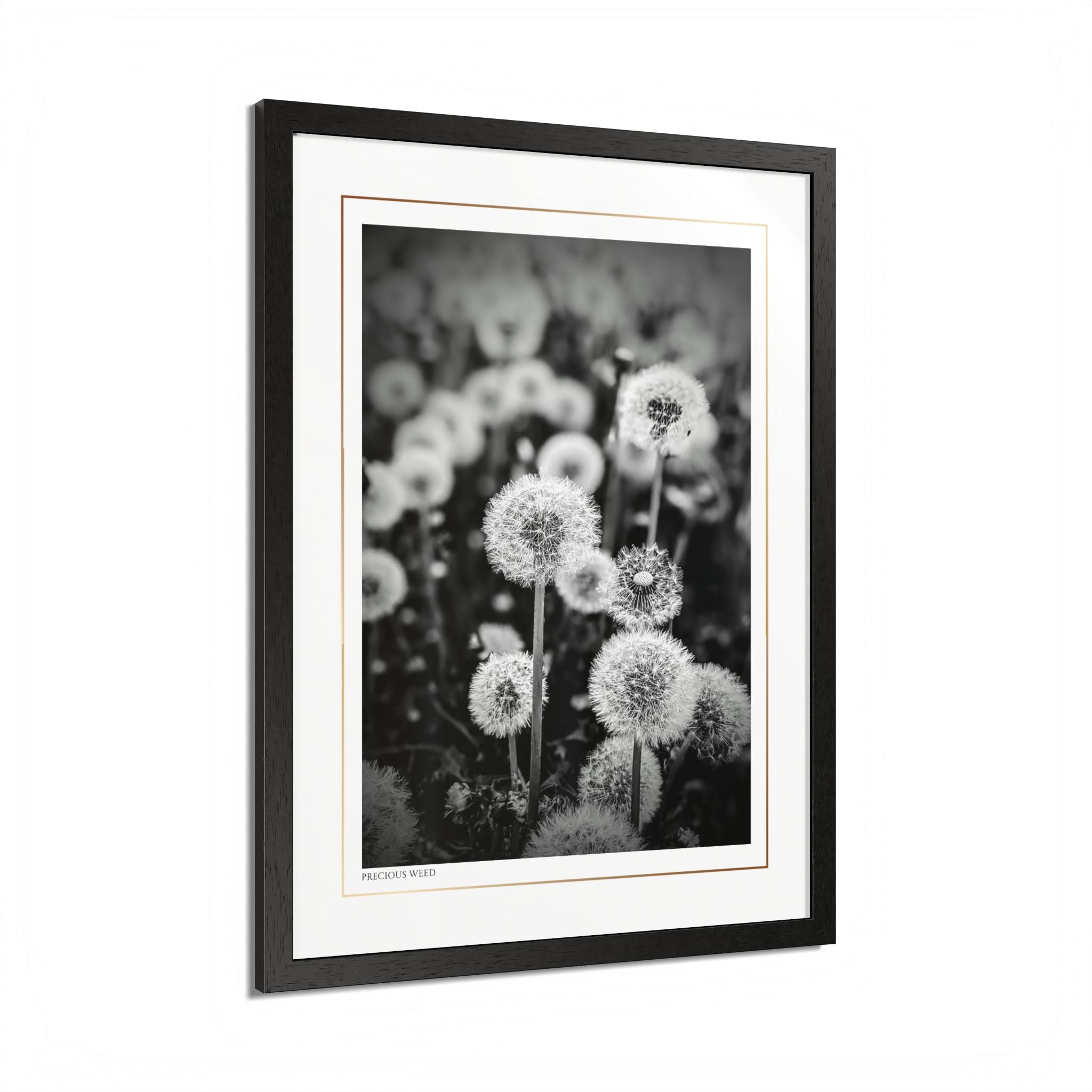Acqua Carta Original 'Precious Weed' Framed Art, Flower Decor for Nature Lovers, Home Art