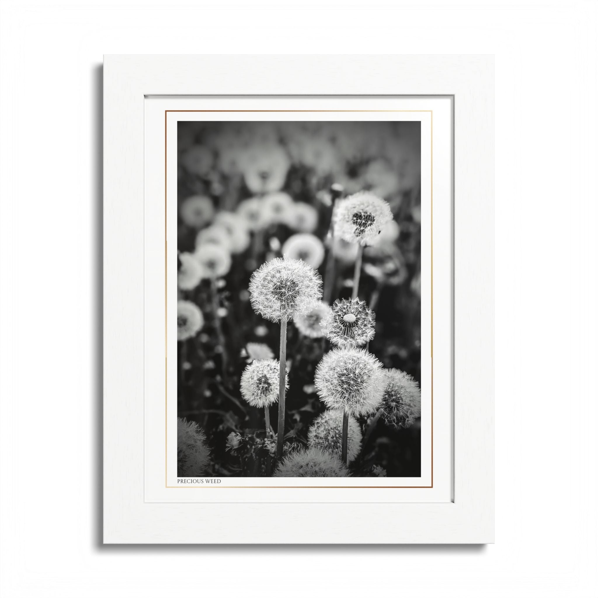 Acqua Carta Original 'Precious Weed' Framed Art, Flower Decor for Nature Lovers, Home Art
