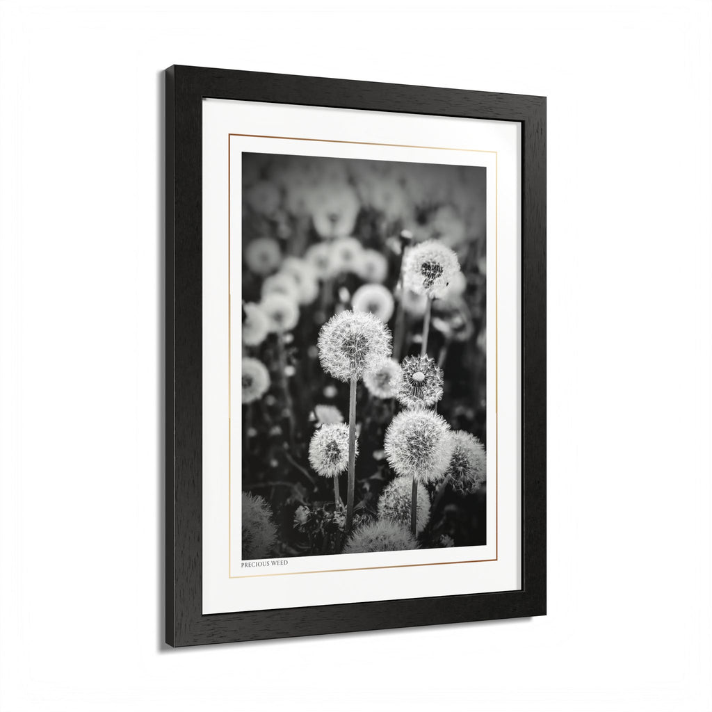 Acqua Carta Original 'Precious Weed' Framed Art, Flower Decor for Nature Lovers, Home Art