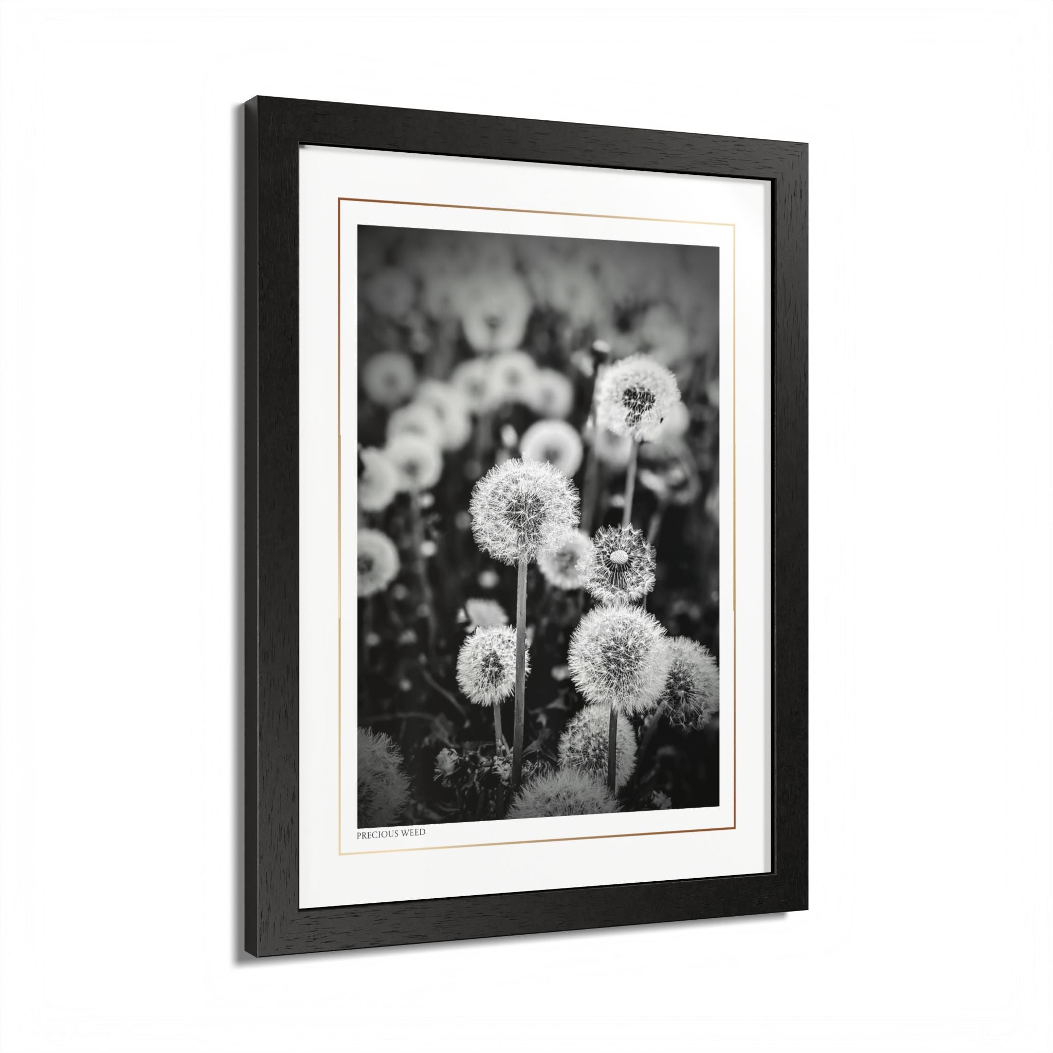 Acqua Carta Original 'Precious Weed' Framed Art, Flower Decor for Nature Lovers, Home Art
