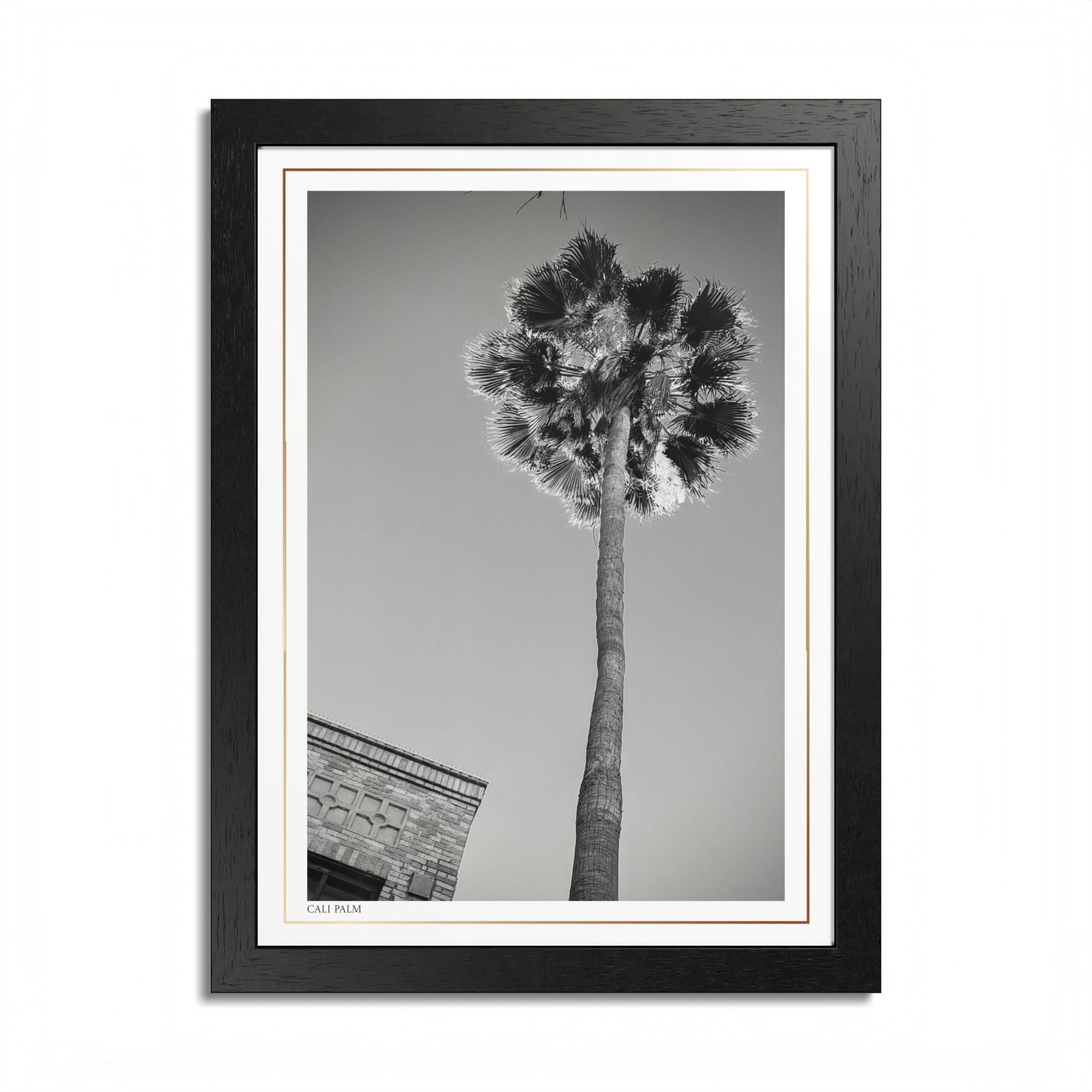 Acqua Carta Original 'Cali Palm' Framed Art, Tropical Decor for Beach Lovers, Home Art