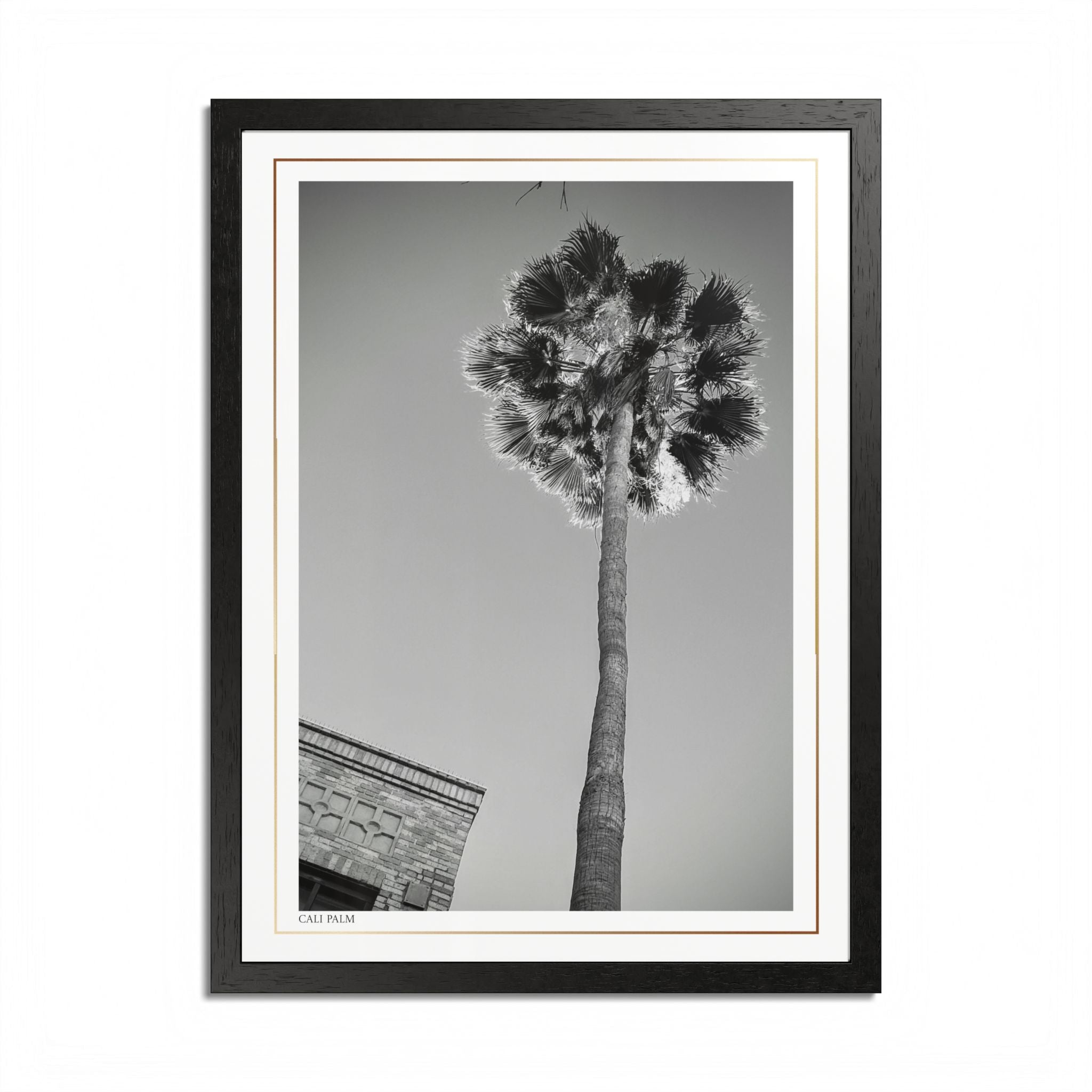 Acqua Carta Original 'Cali Palm' Framed Art, Tropical Decor for Beach Lovers, Home Art