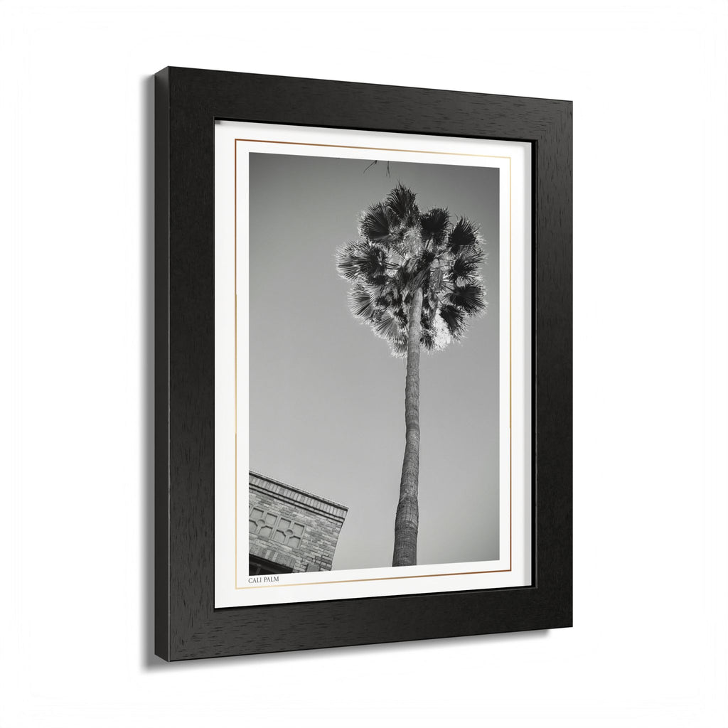 Acqua Carta Original 'Cali Palm' Framed Art, Tropical Decor for Beach Lovers, Home Art