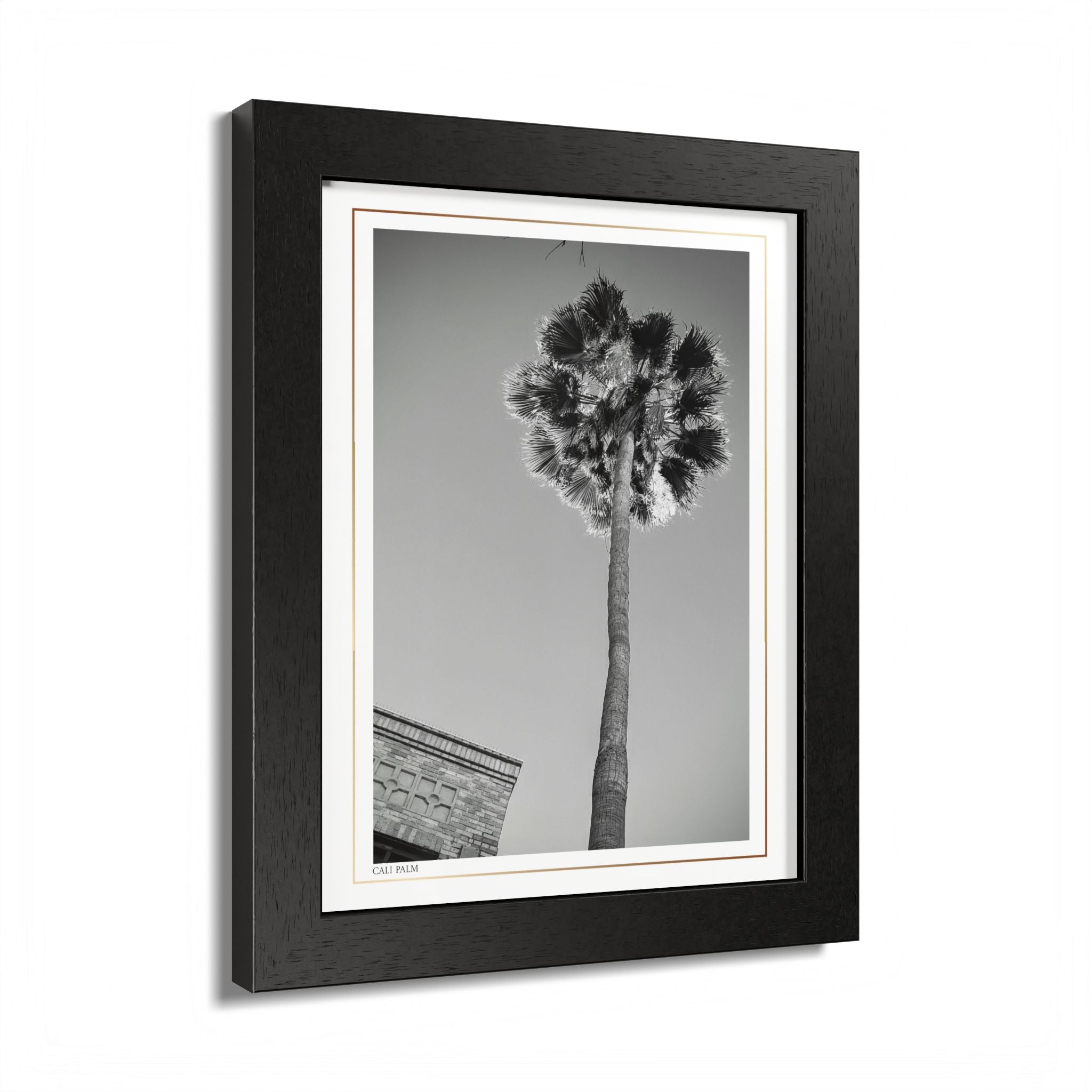 Acqua Carta Original 'Cali Palm' Framed Art, Tropical Decor for Beach Lovers, Home Art