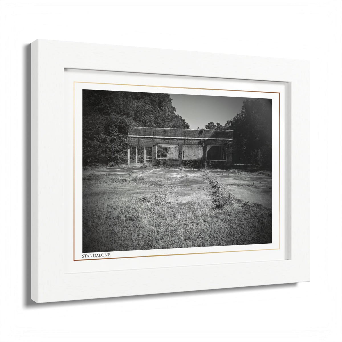 Acqua Carta Original 'Standalone' Framed Art, 'Bando' Art, Home Art