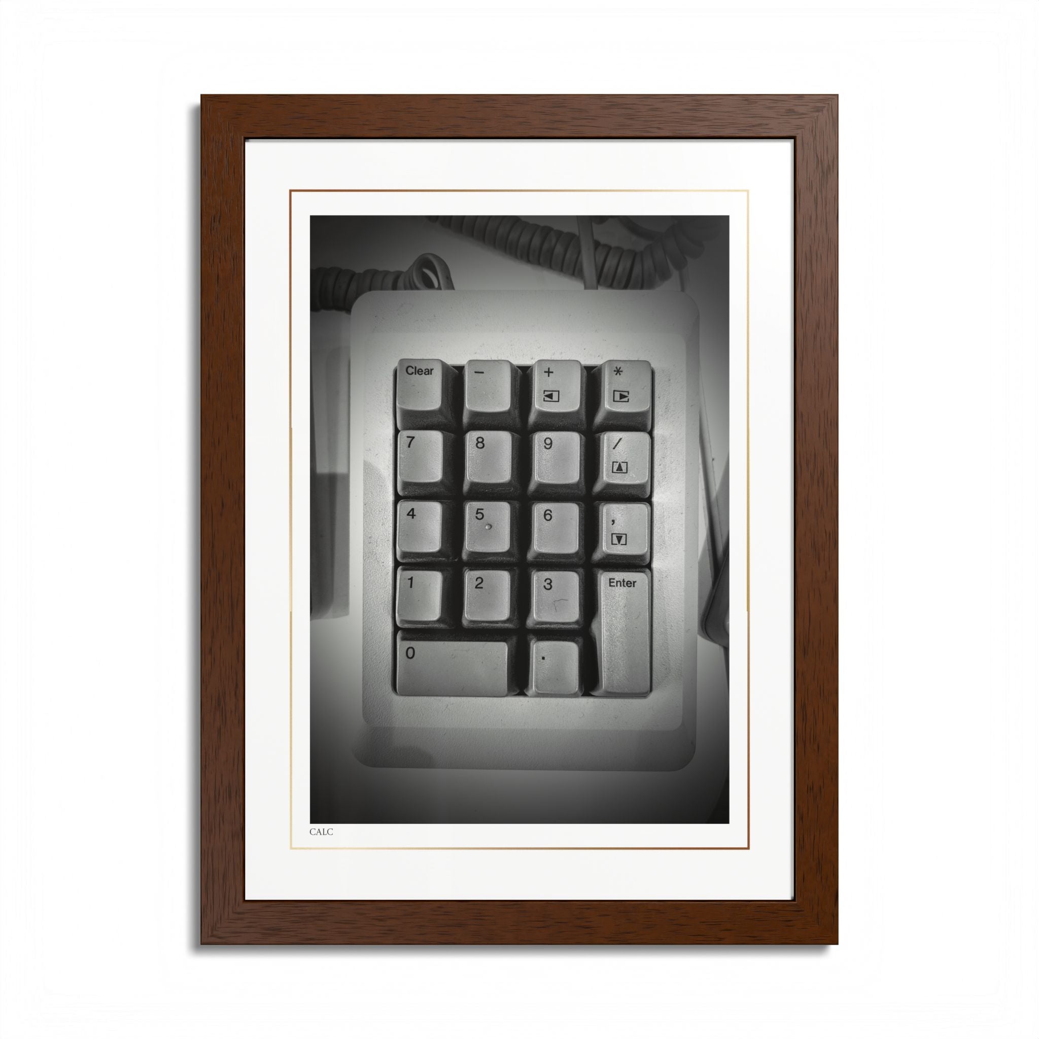 Acqua Carta Original 'Calc' Framed Art, Tropical Decor for Beach Lovers, Home Art
