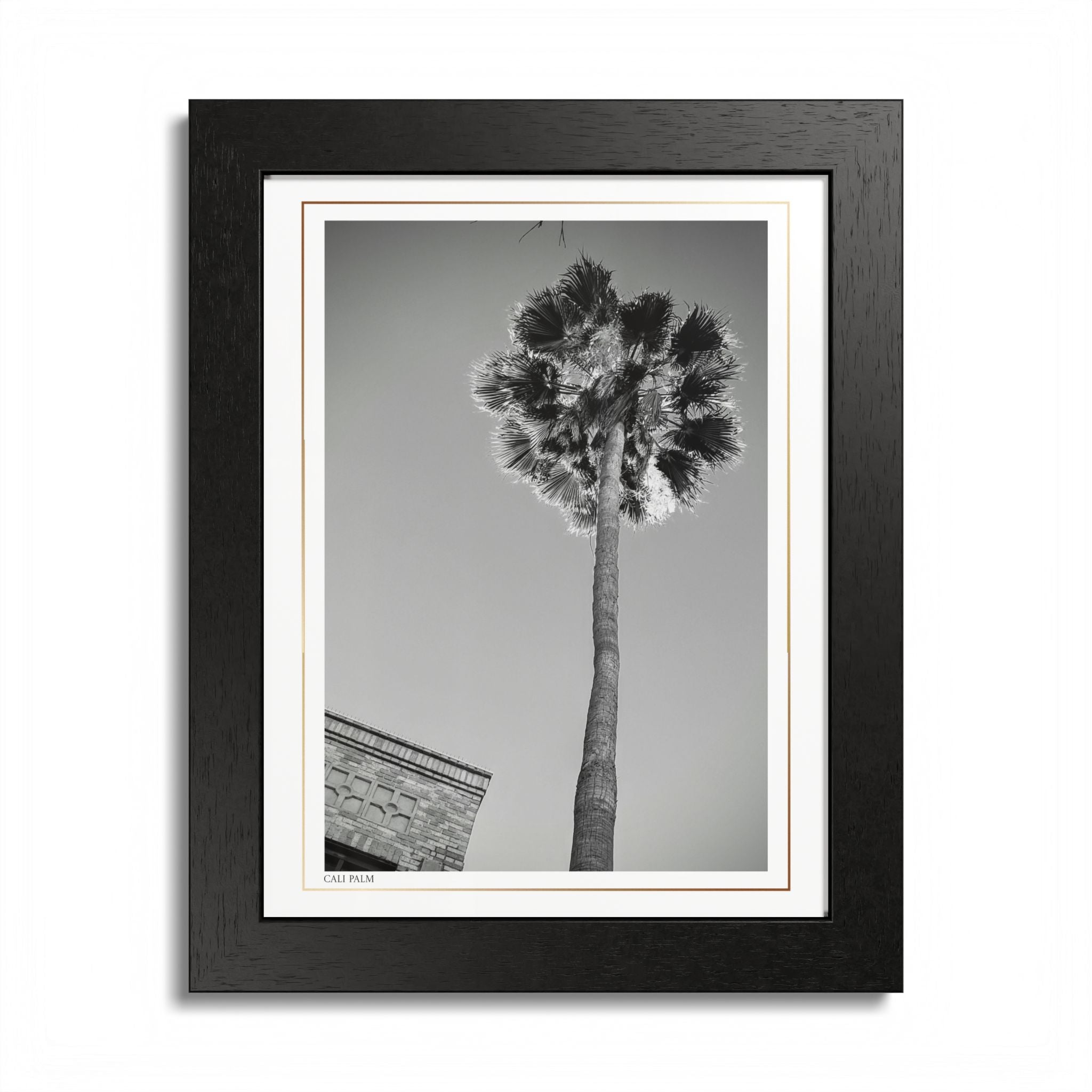 Acqua Carta Original 'Cali Palm' Framed Art, Tropical Decor for Beach Lovers, Home Art
