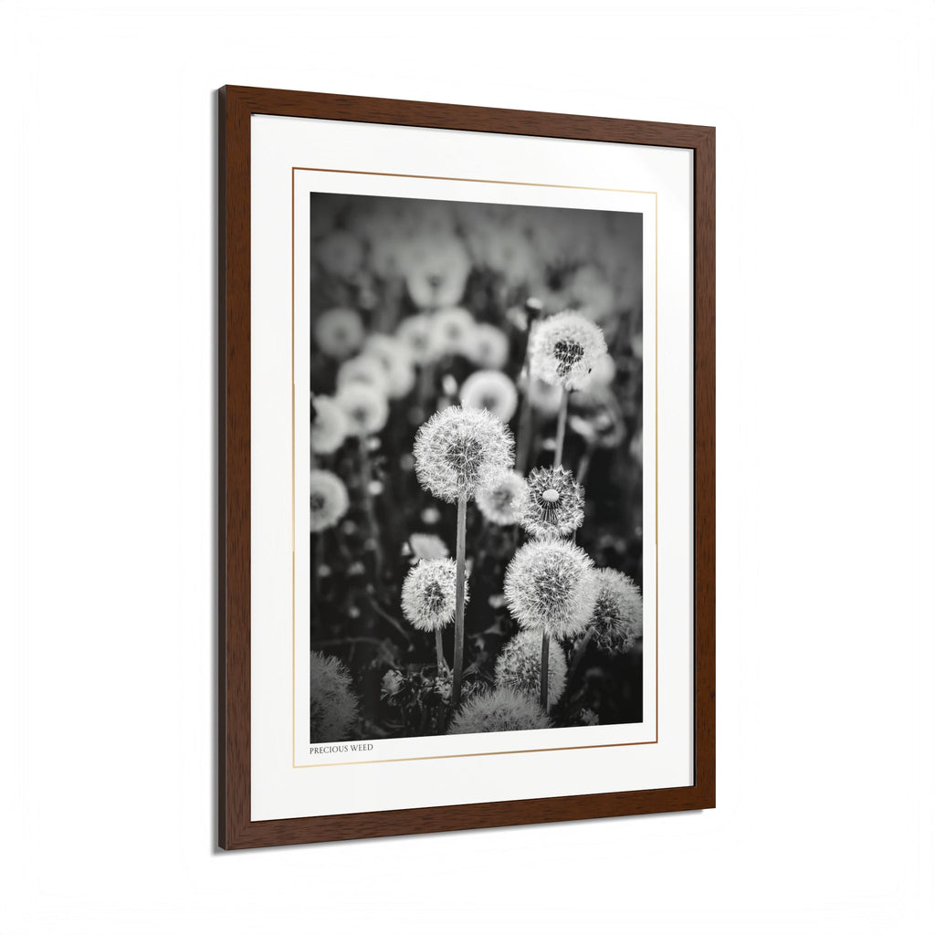 Acqua Carta Original 'Precious Weed' Framed Art, Flower Decor for Nature Lovers, Home Art