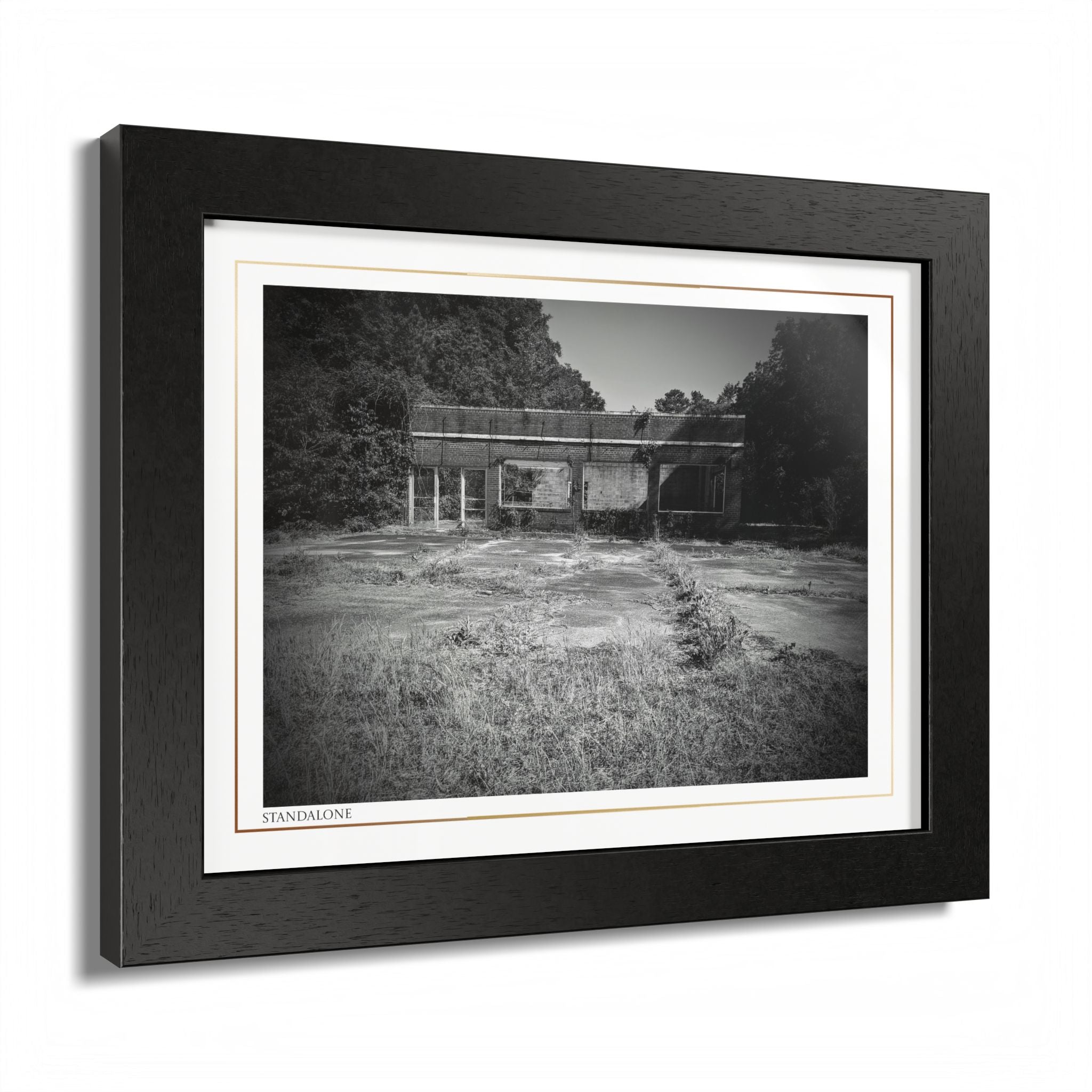 Acqua Carta Original 'Standalone' Framed Art, 'Bando' Art, Home Art