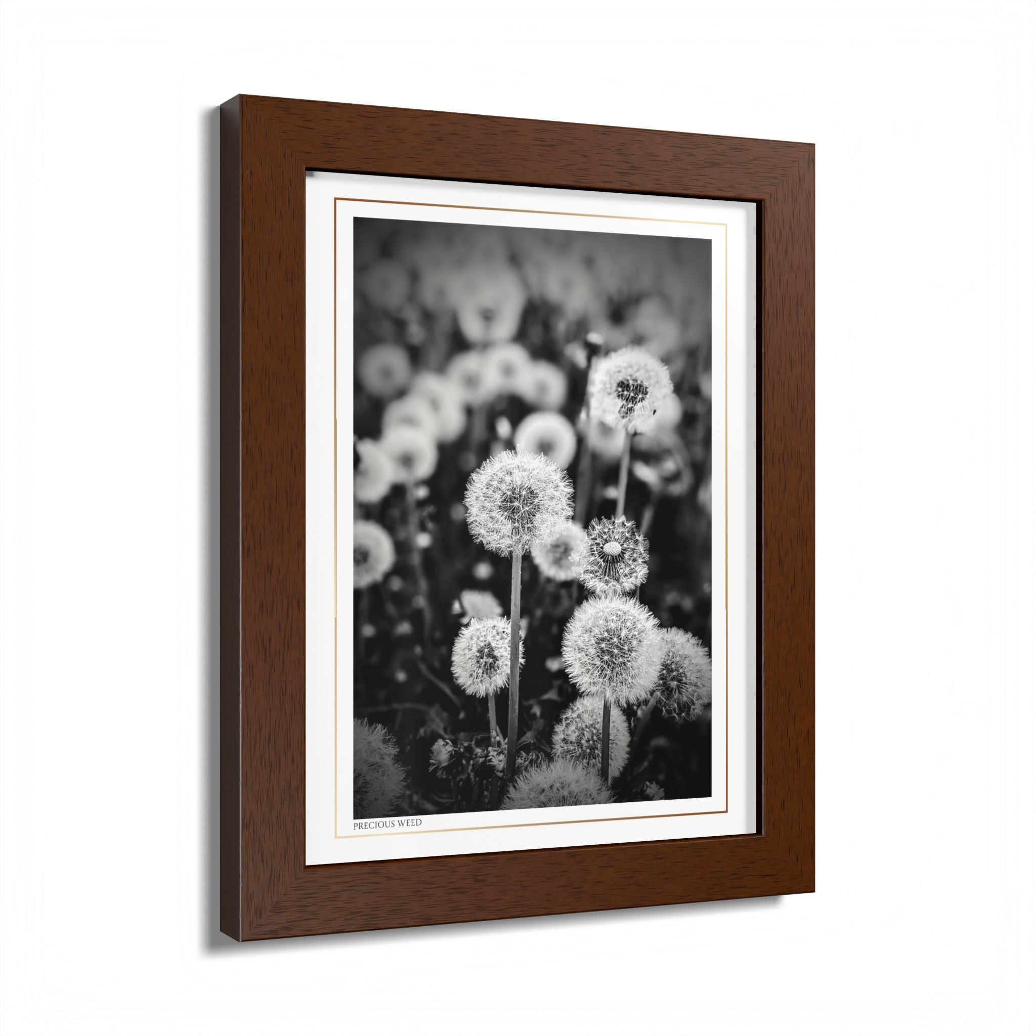 Acqua Carta Original 'Precious Weed' Framed Art, Flower Decor for Nature Lovers, Home Art